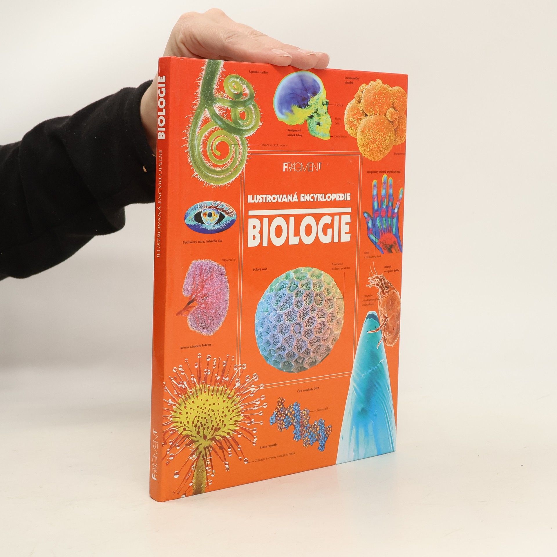 Corinne Stockley Biologie