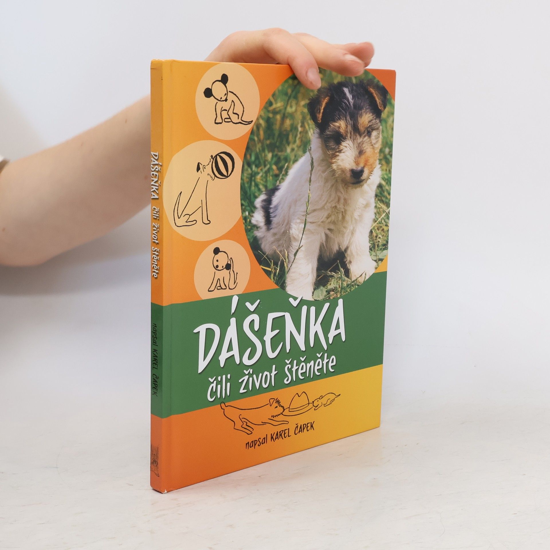 Karel Čapek Dášeňka čili život štěněte