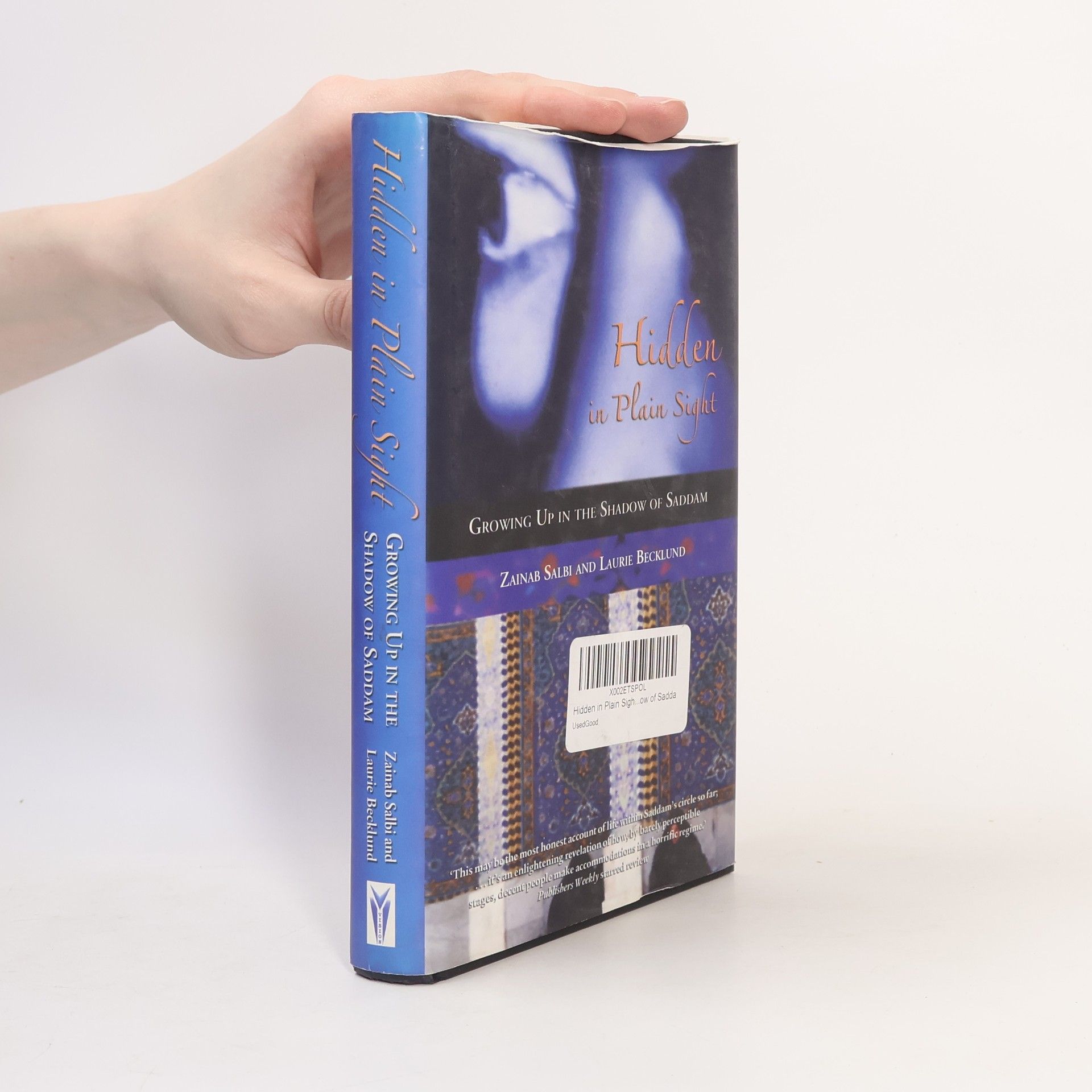 Zainab Salbi Hidden in Plain Sight