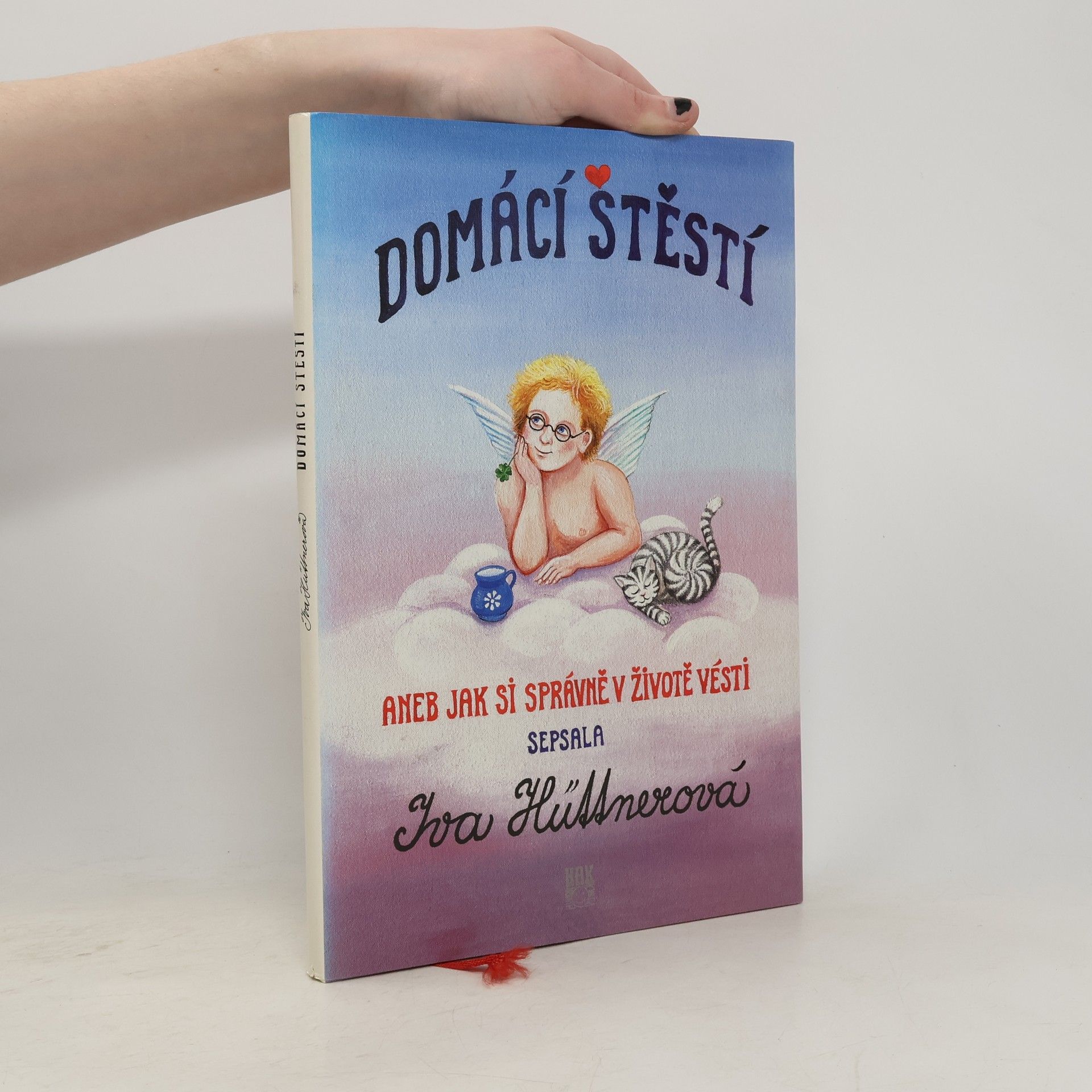 Iva Hüttnerová Domácí štěstí: Aneb jak si správně v životě vésti