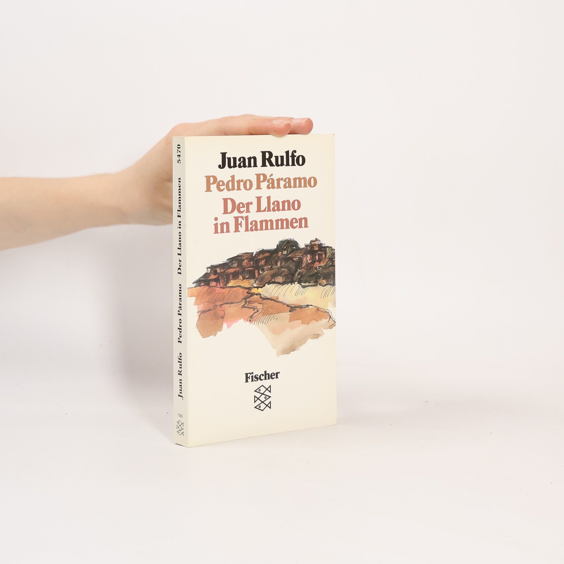 Juan Rulfo Pedro Paramo. El Llano En Llamas