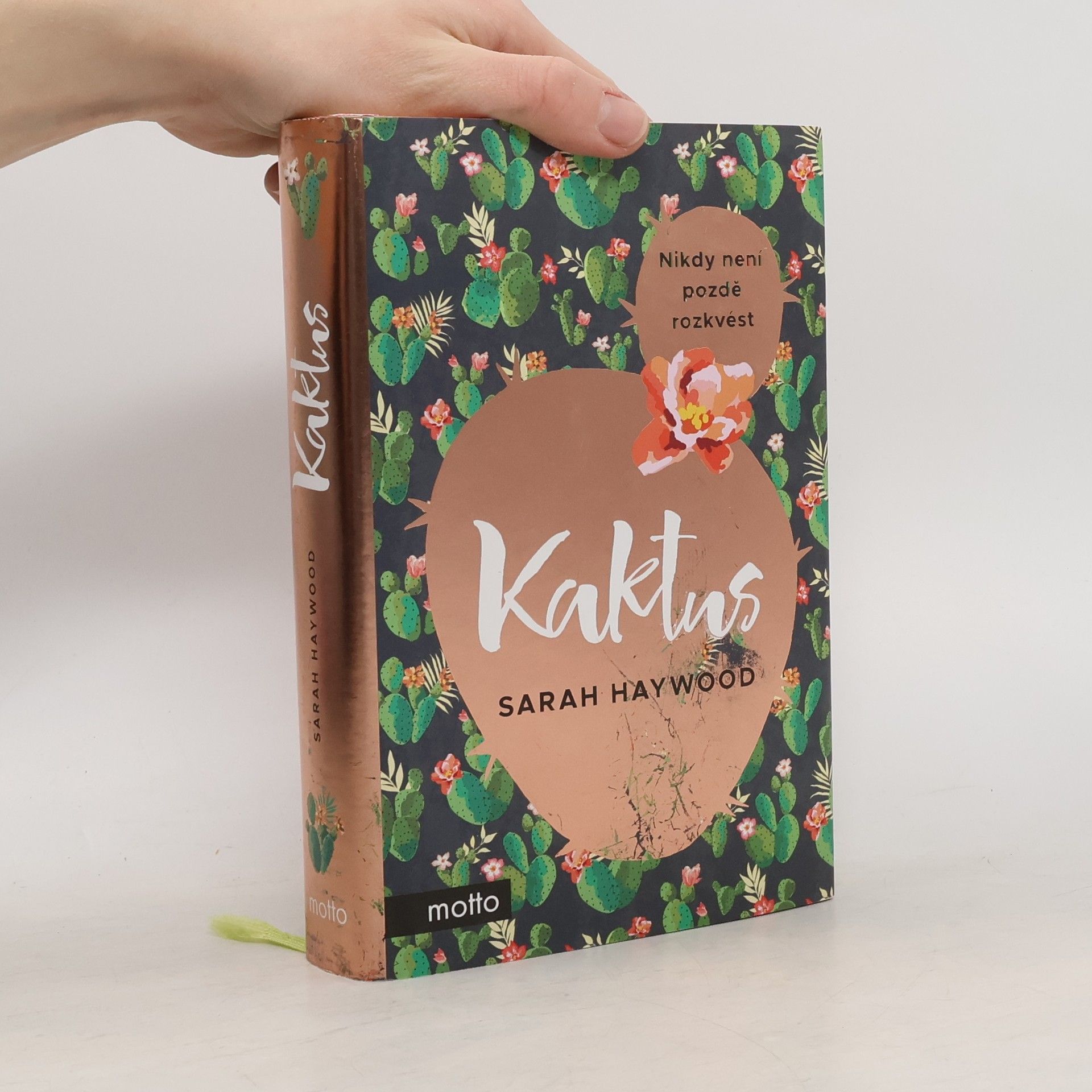 Sarah Haywood Kaktus