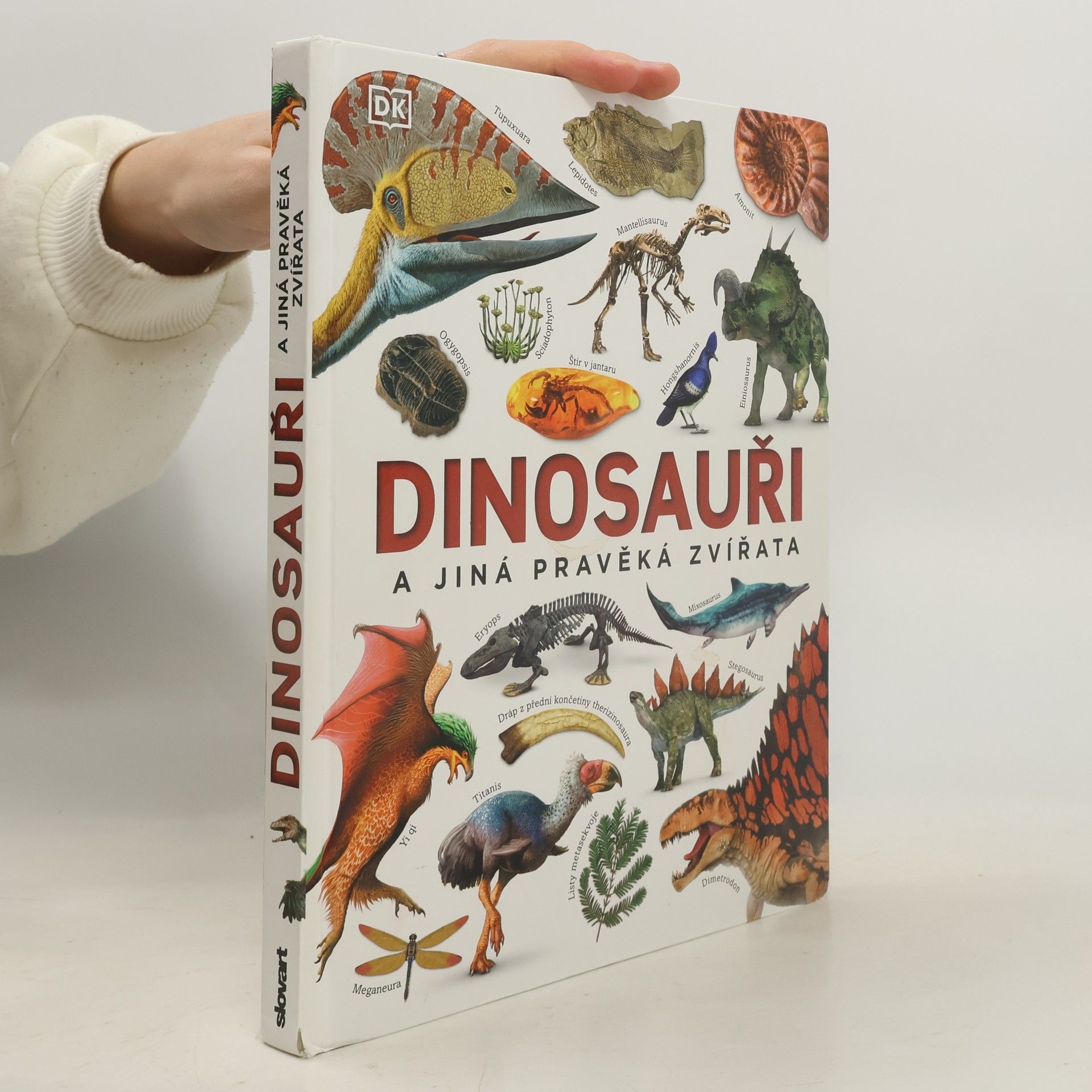 Dinosauři a jiná pravěká zvířata