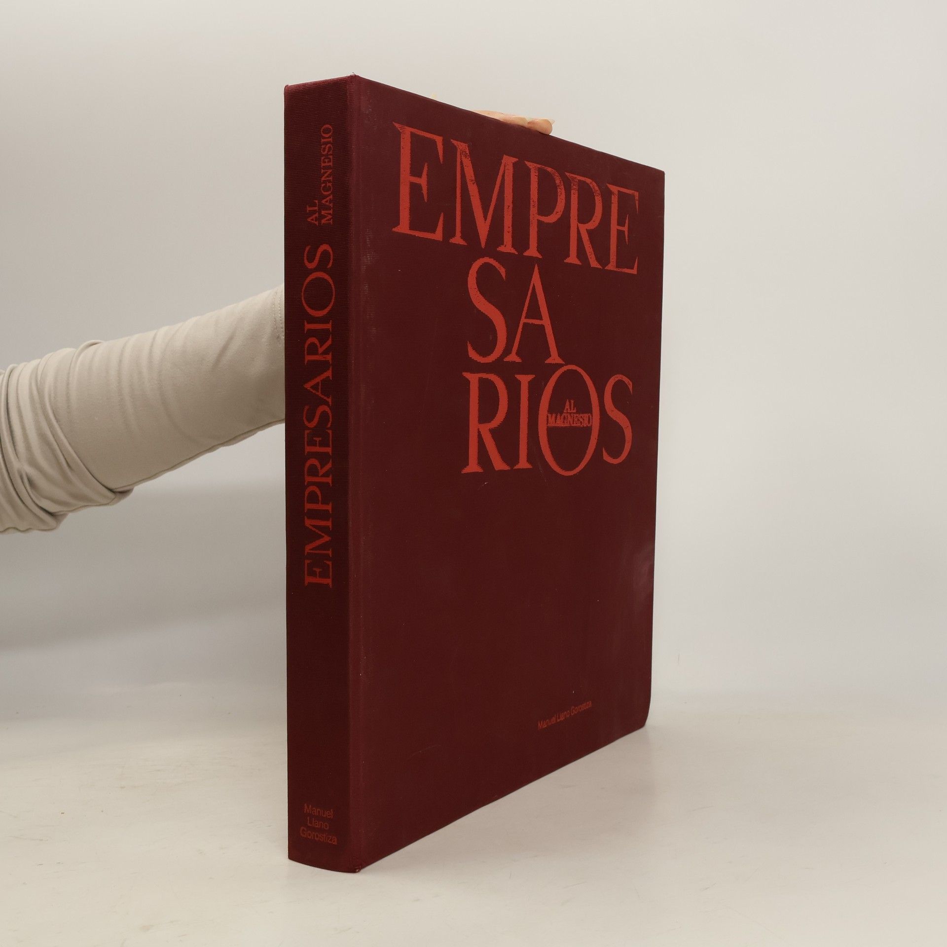 Manuel Llano Gorostiza Empresarios al magnesio