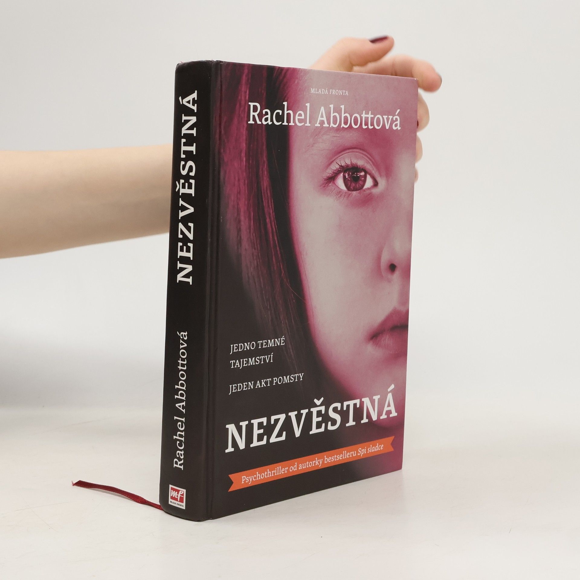 Rachel Abbott Nezvěstná