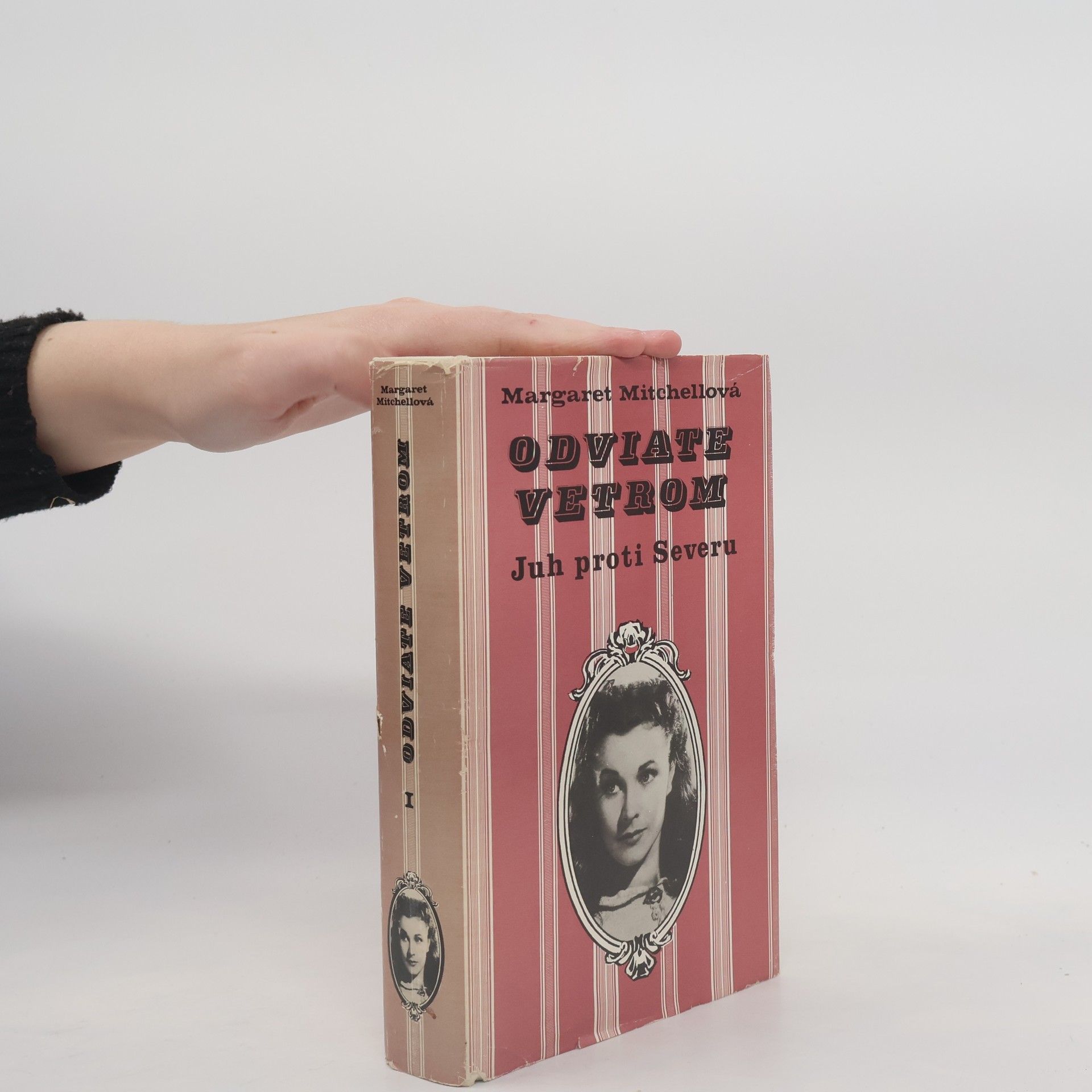 Margaret Mitchell Odviate vetrom. Juh proti Severu I.