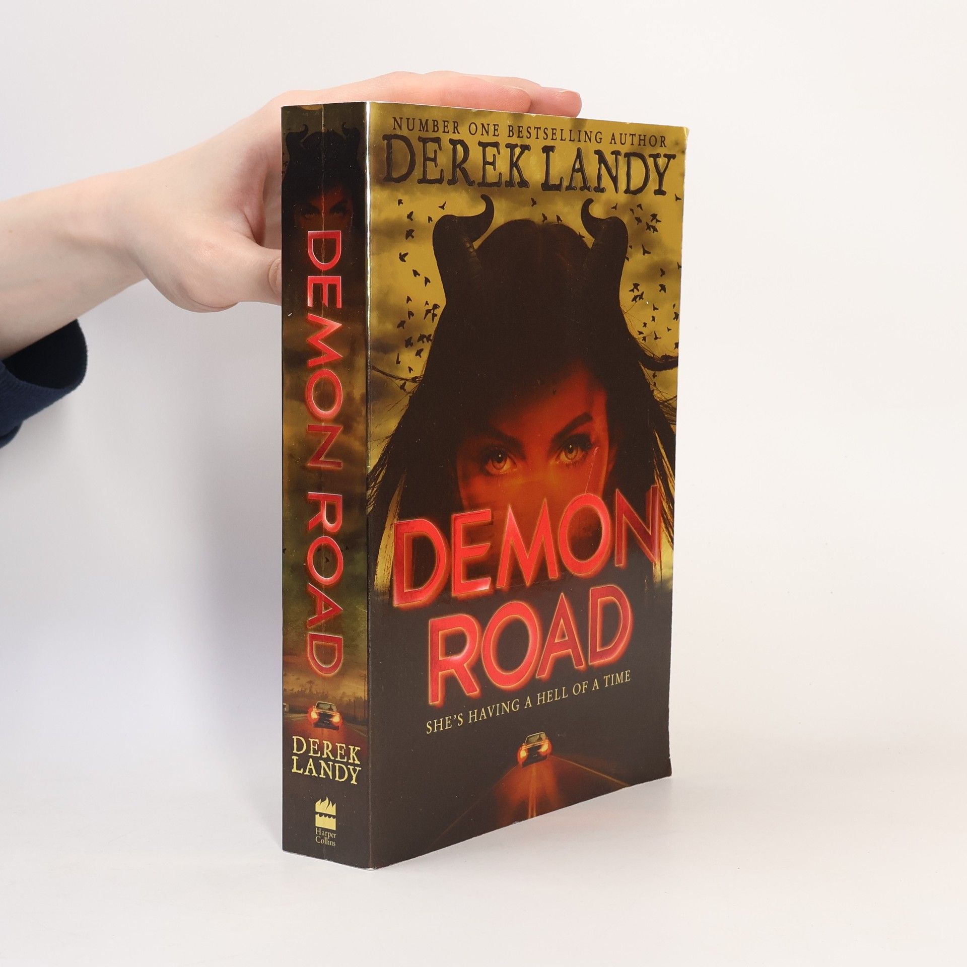 Derek Landy Demon Road
