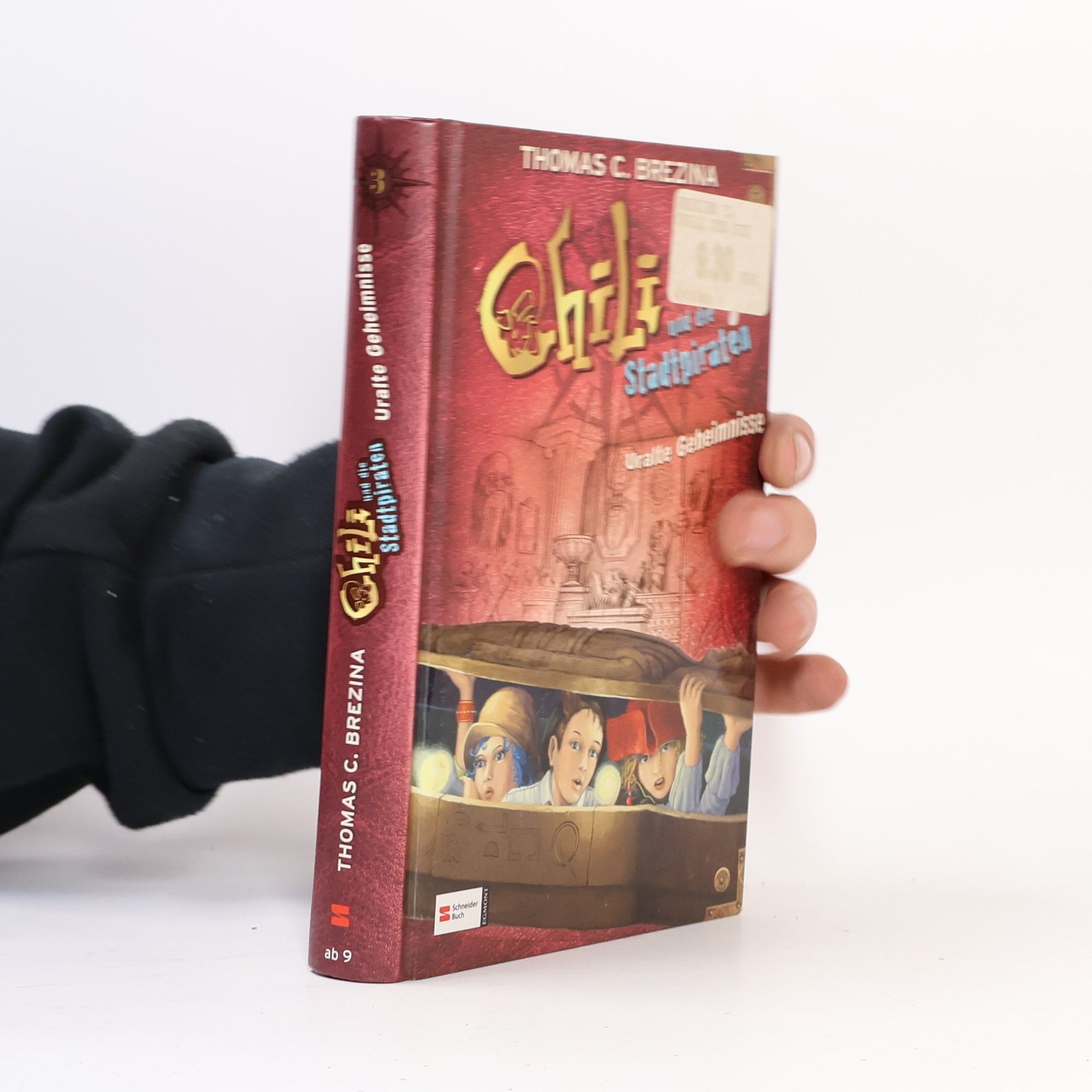 Thomas Brezina Chili und die Stadtpiraten 3