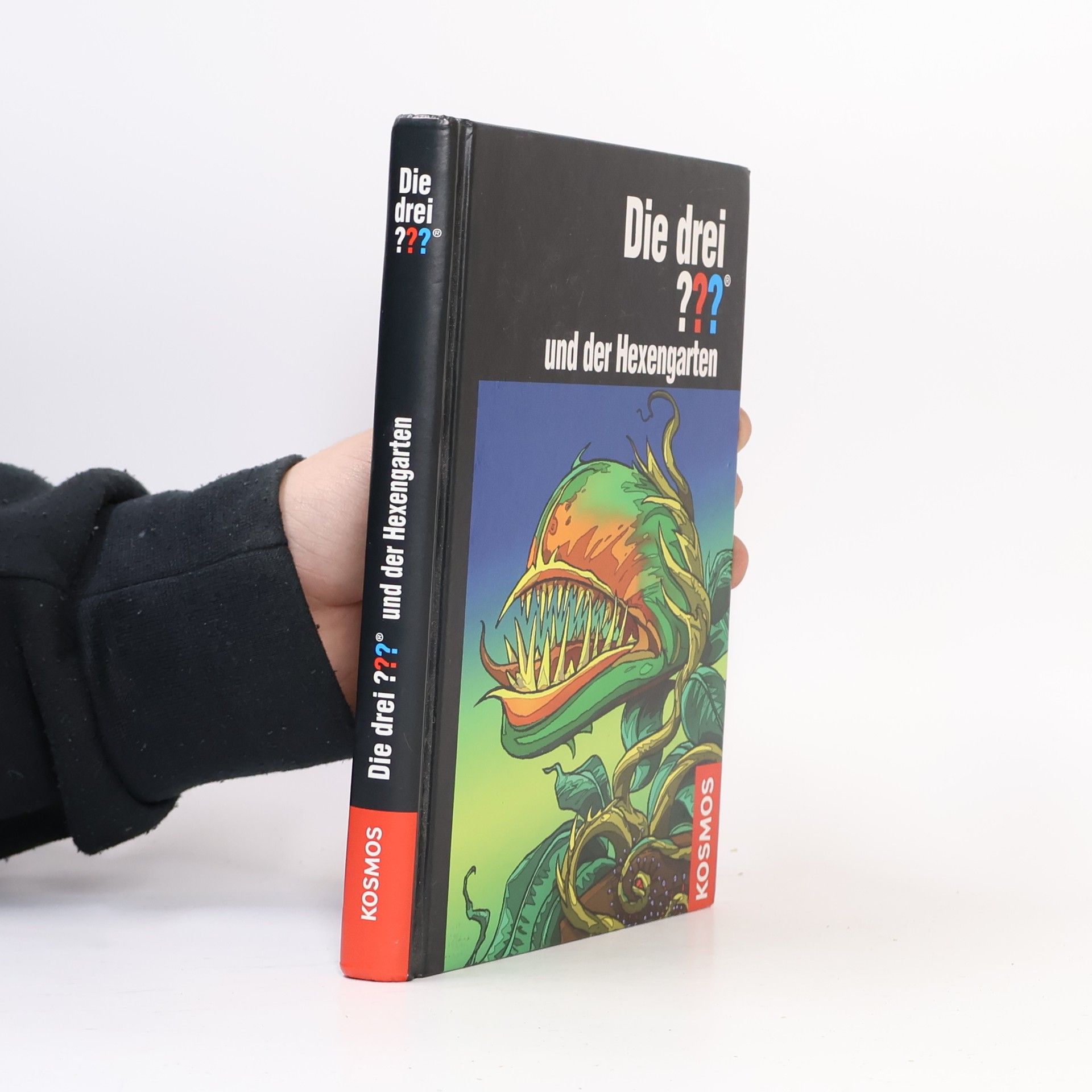 Kari Erlhoff Die drei ??? und der Hexengarten
