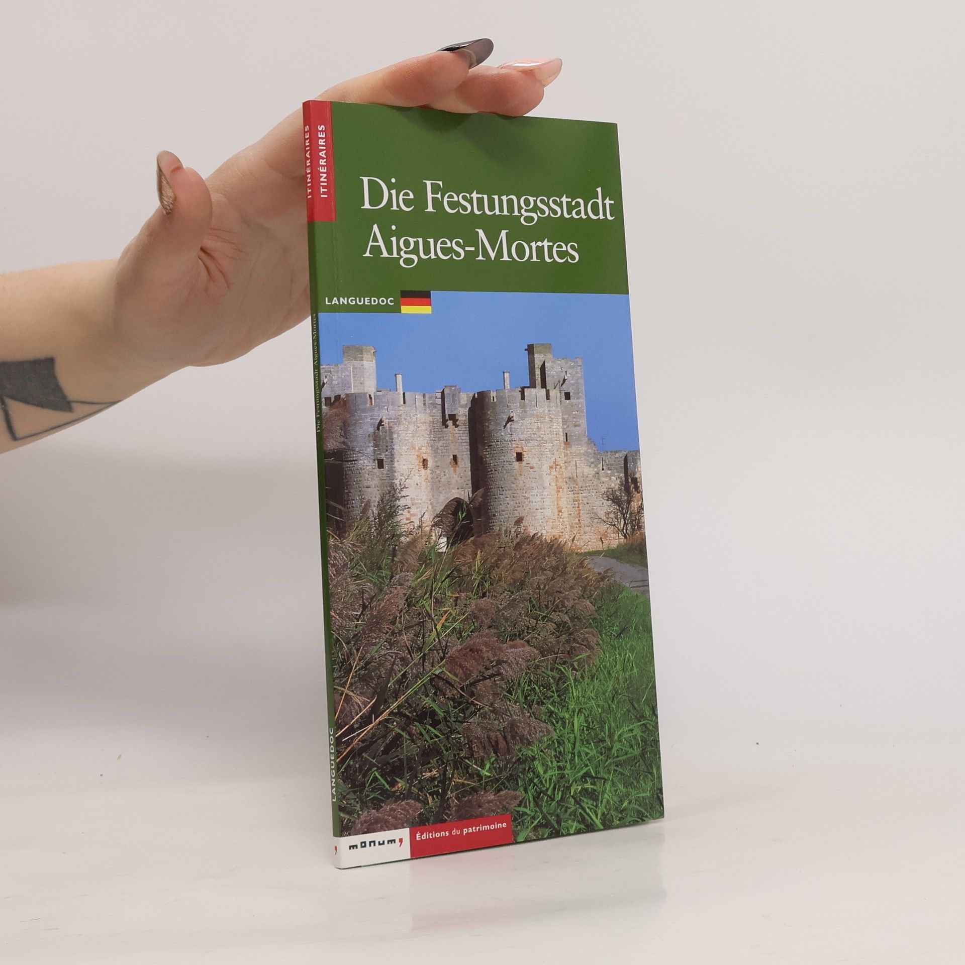 Michel-Édouard Bellet Die Festungsstadt Aigues-Mortes