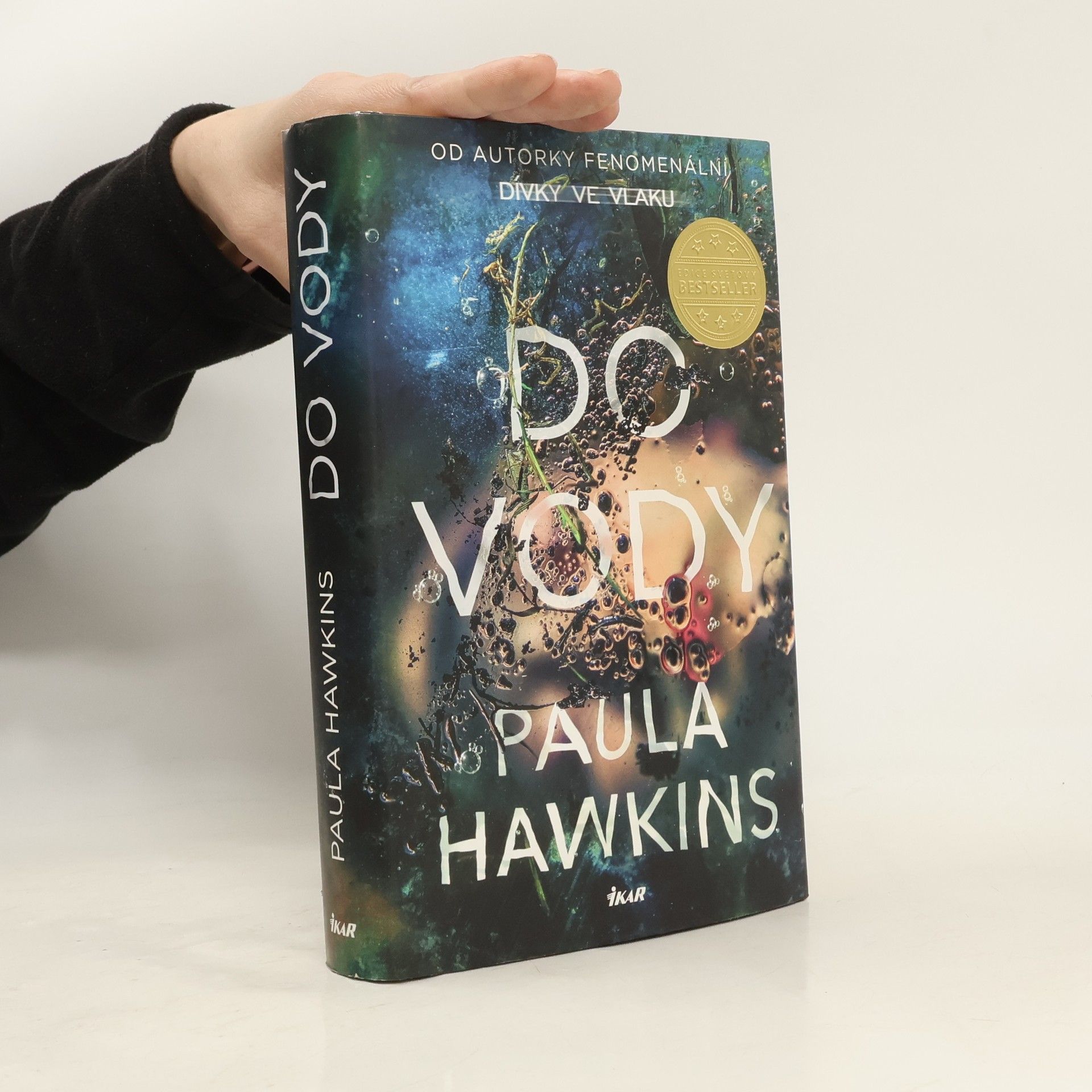 Paula Hawkins Do vody