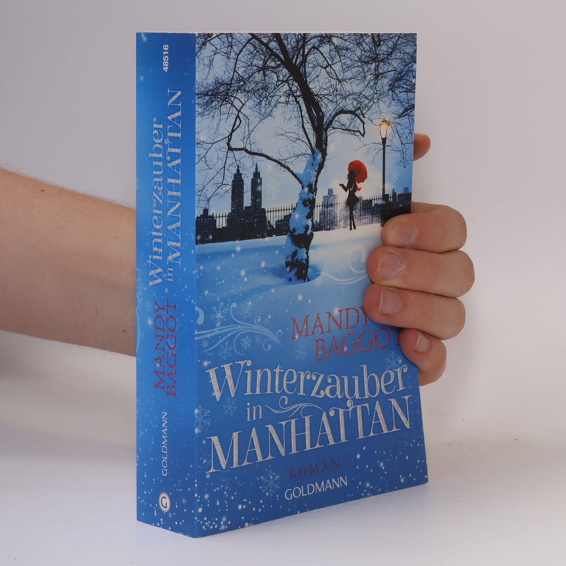 Mandy Baggot Winterzauber in Manhattan