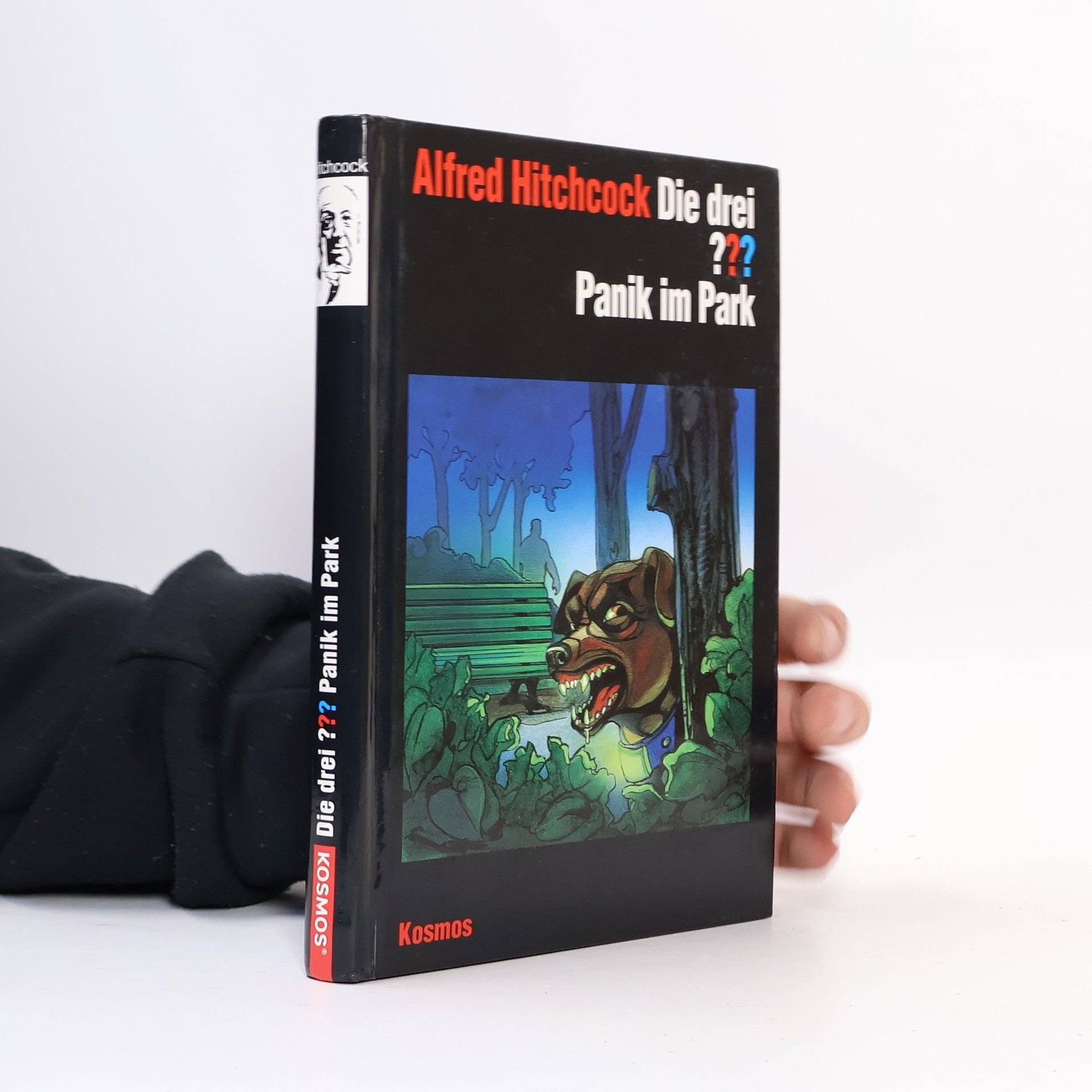 Robert Arthur Jr. Die drei ??? - Panik im Park