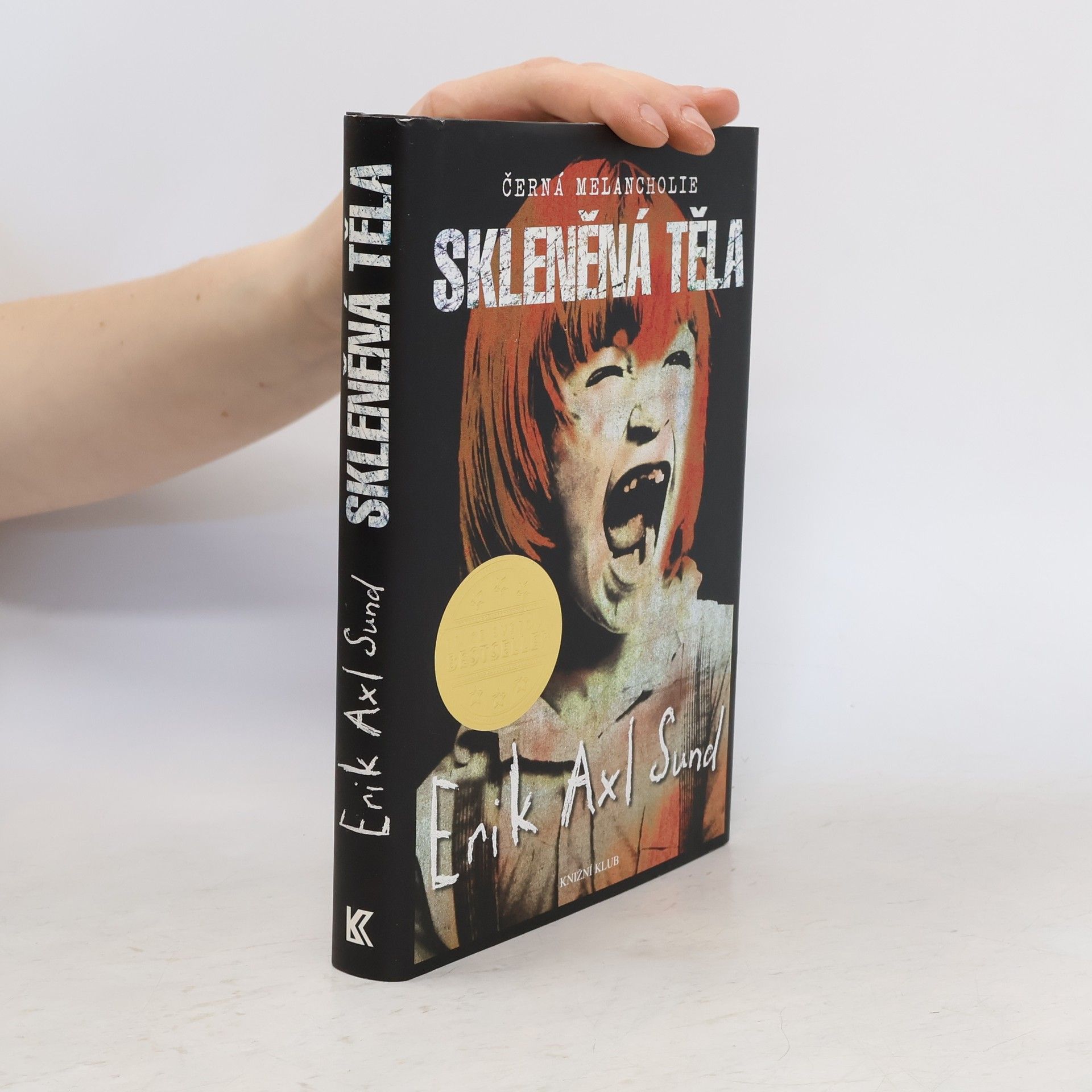 Erik Axl Sund Skleněná těla. Černá melancholie