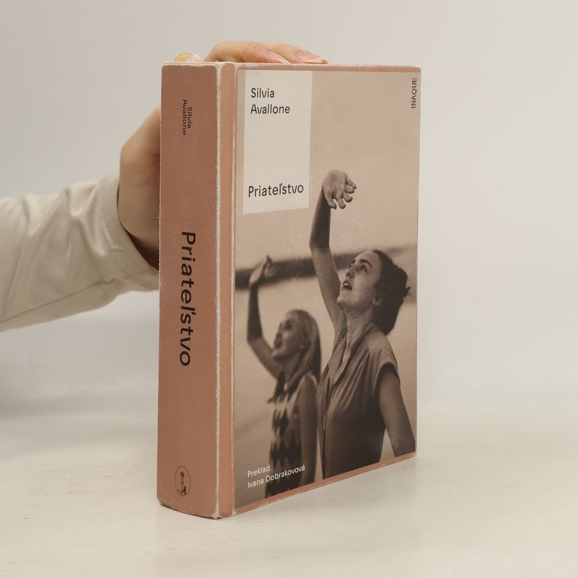 Silvia Avallone Priateľstvo