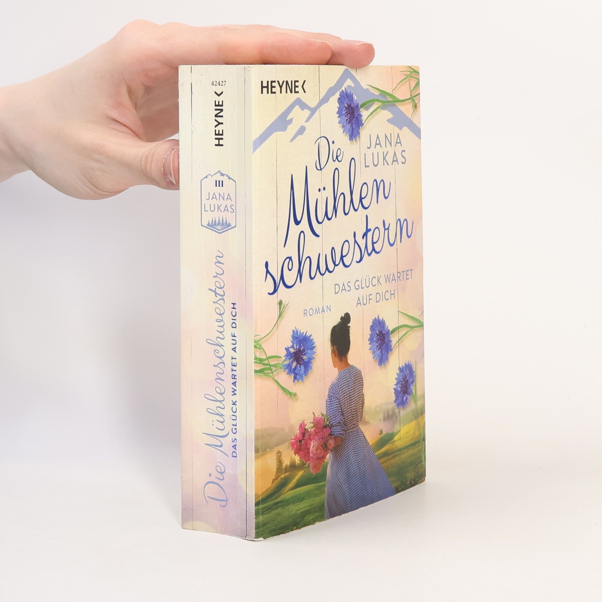 Jana Lukas Die Mühlenschwestern - Das Glück wartet auf dich