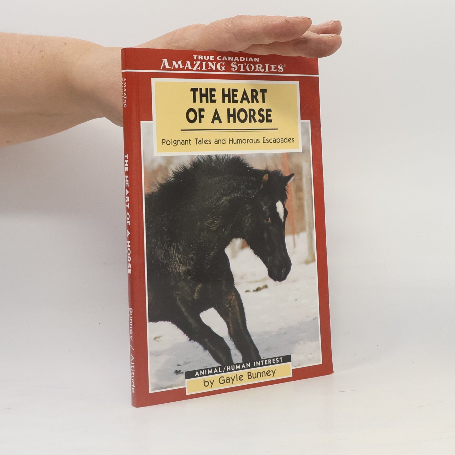 Frances Purslow The Heart of a Horse