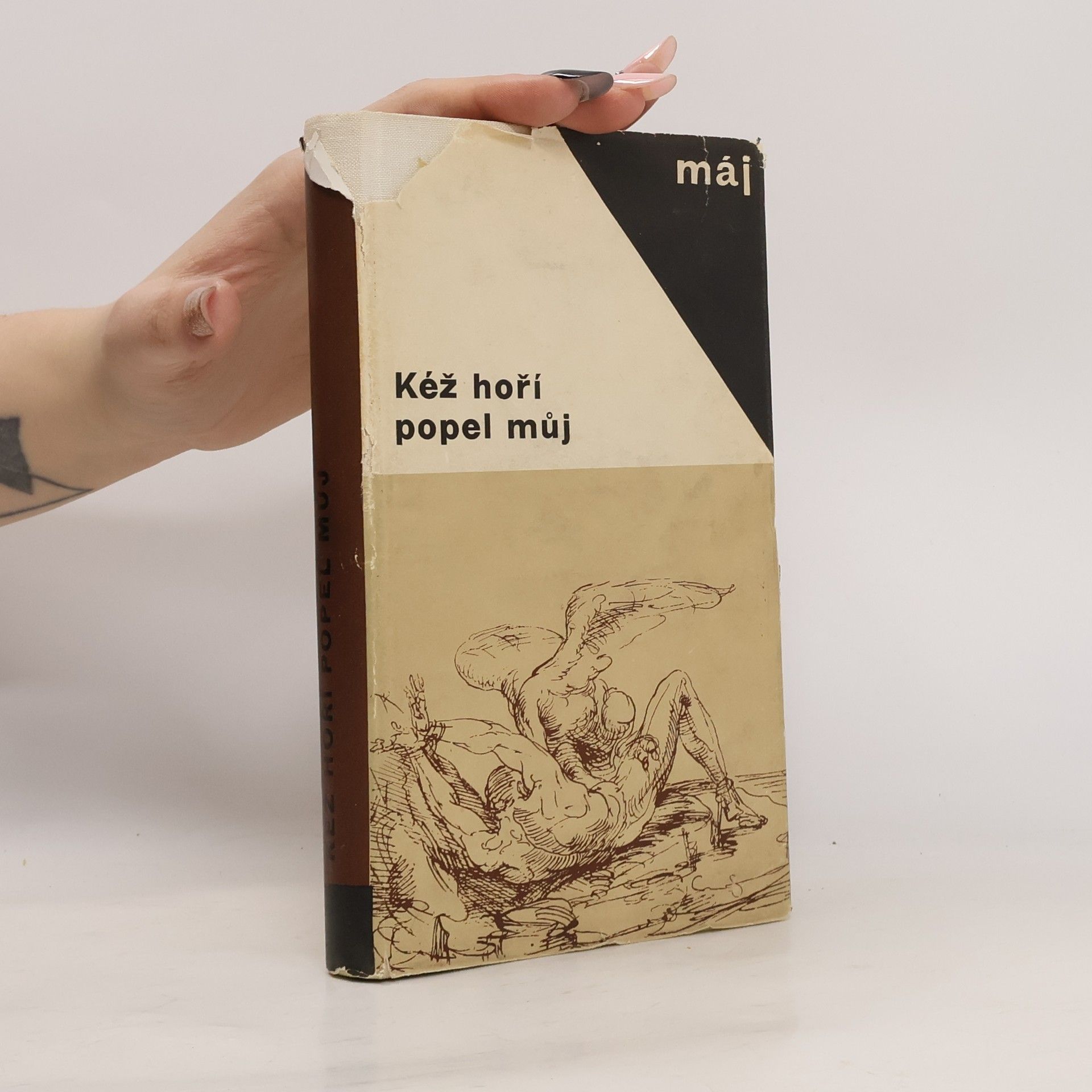 Václav Černý Kéž hoří popel můj