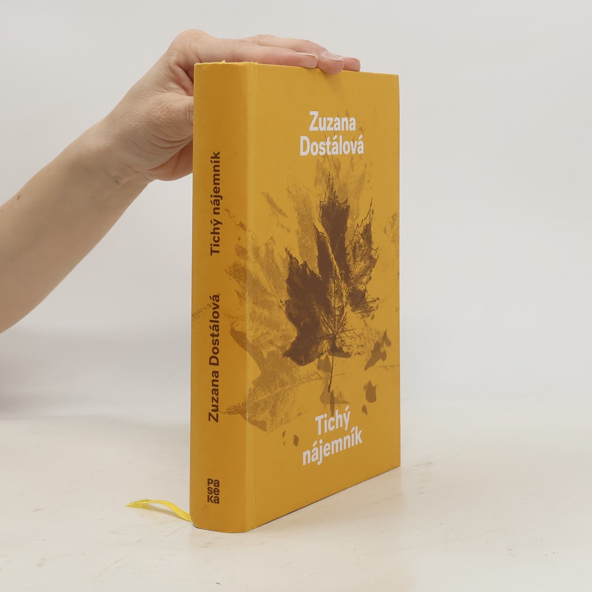 Zuzana Dostálová Tichý nájemník