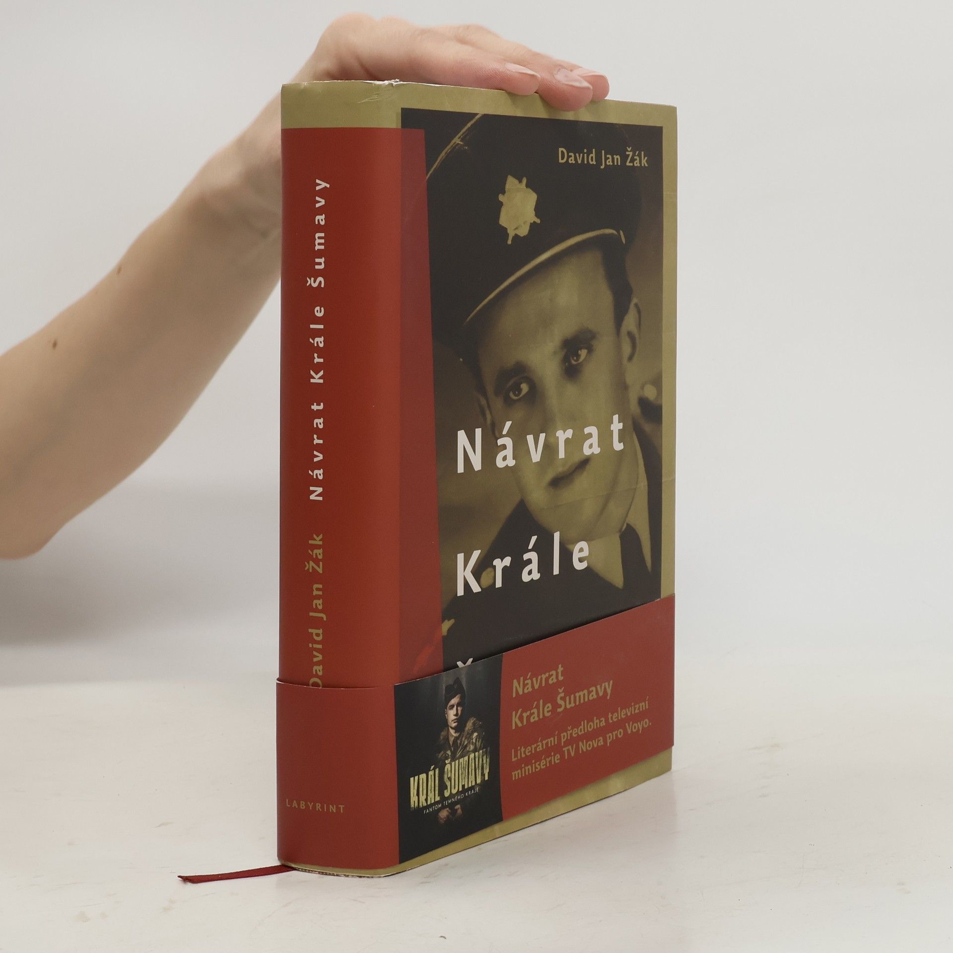 David Jan Žák Návrat Krále Šumavy