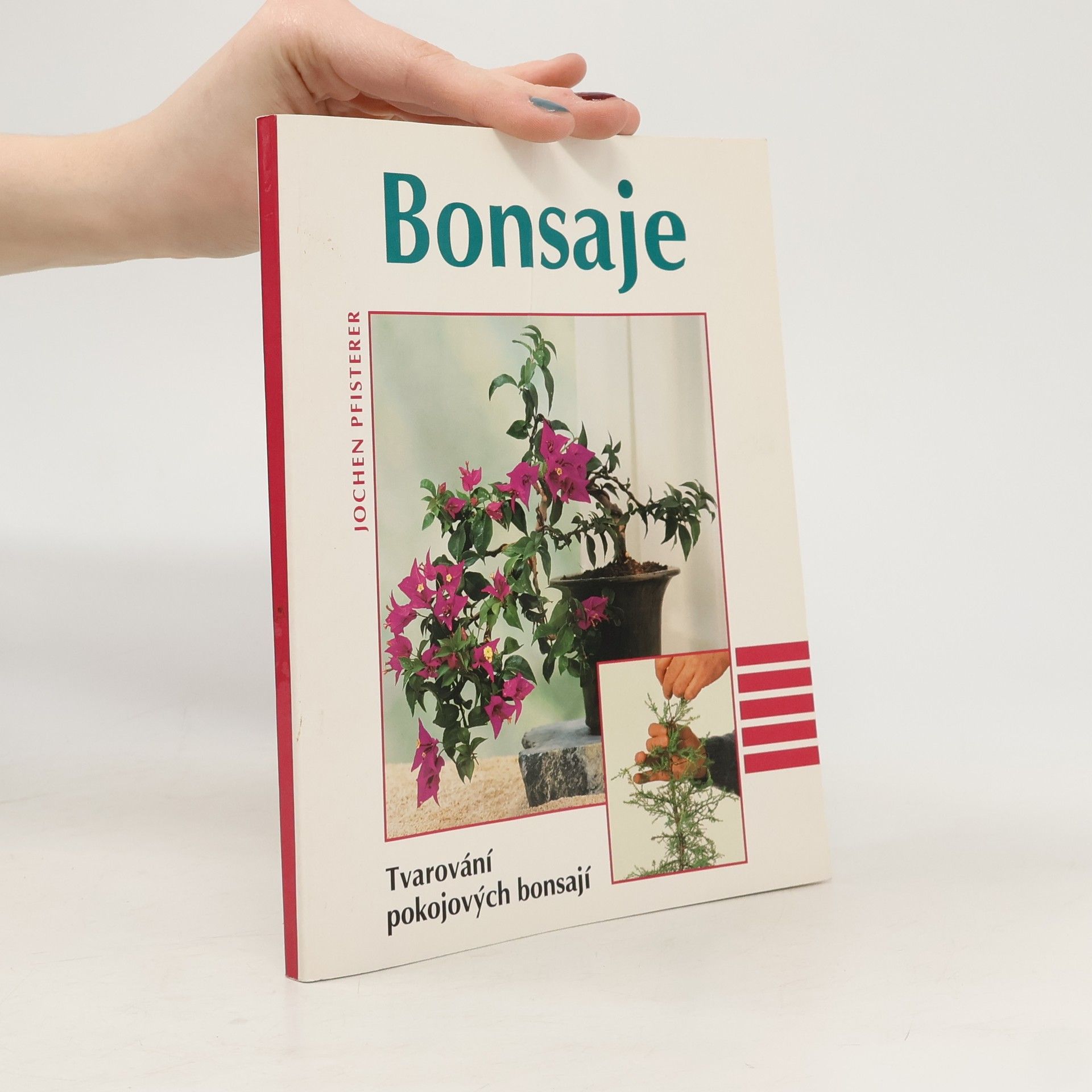 Jochen Pfisterer Bonsaje. Tvarování pokojových bonsají