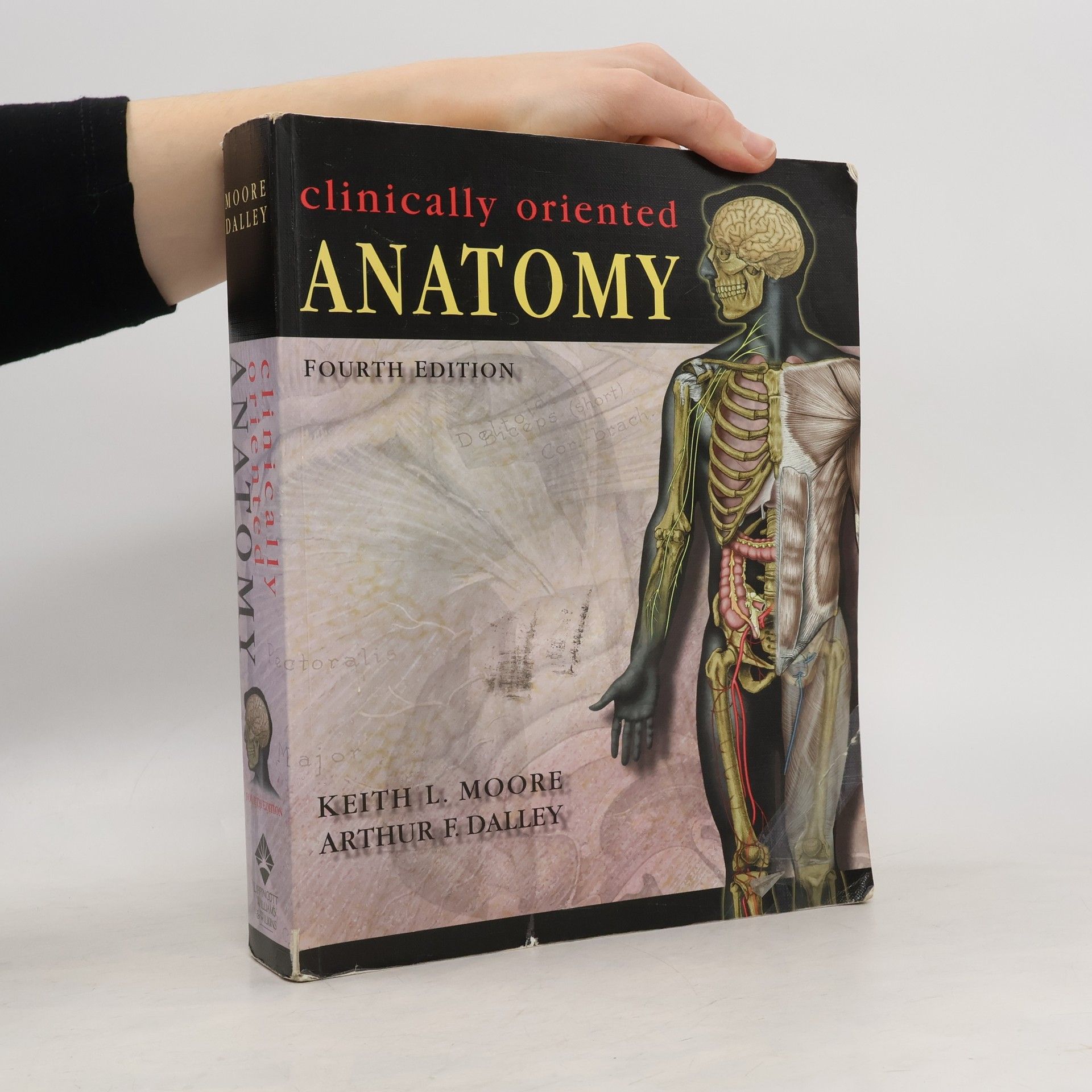 Arthur F. Dalley Clinically Oriented Anatomy