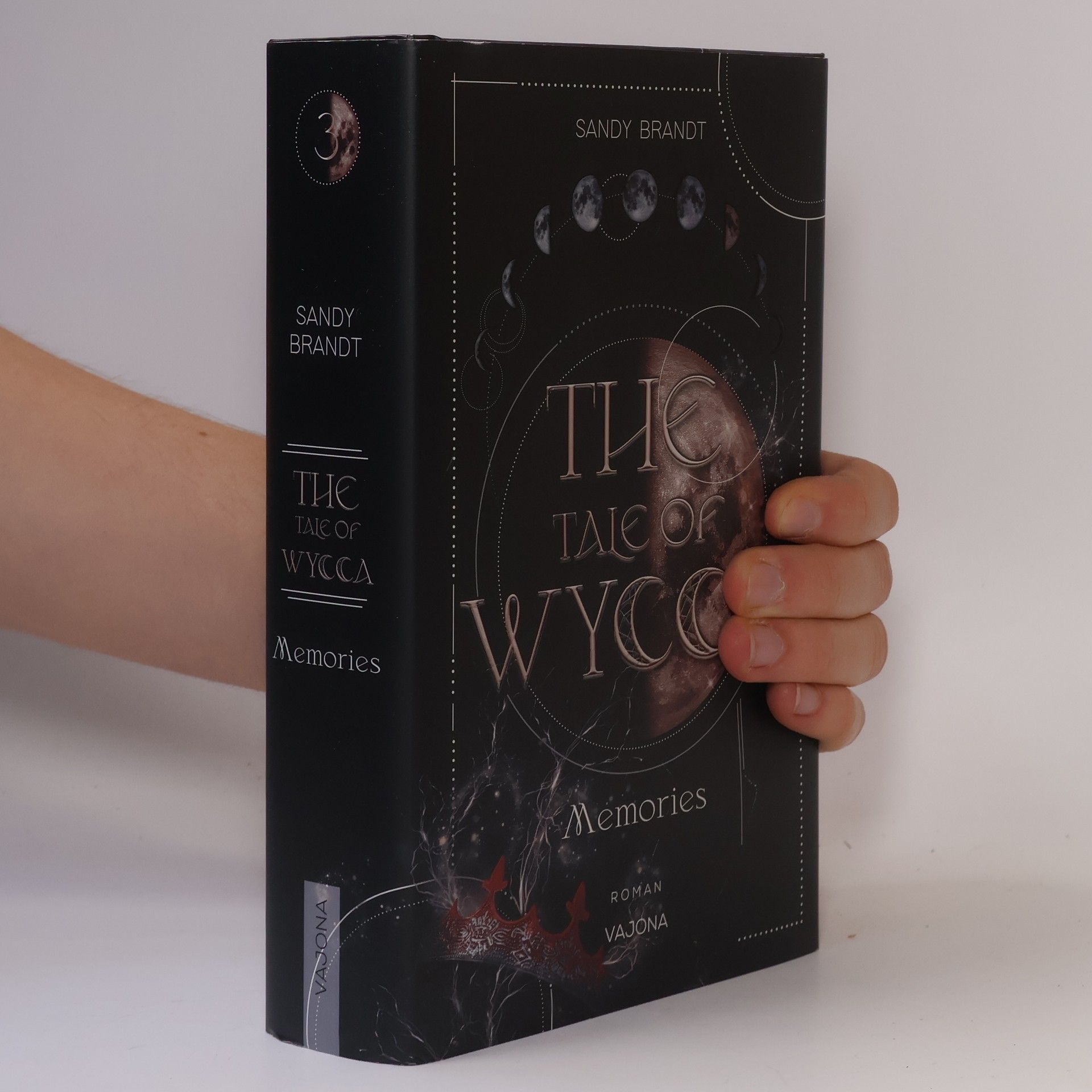 Sandy Brandt THE TALE OF WYCCA: Memories (WYCCA-Reihe 3)