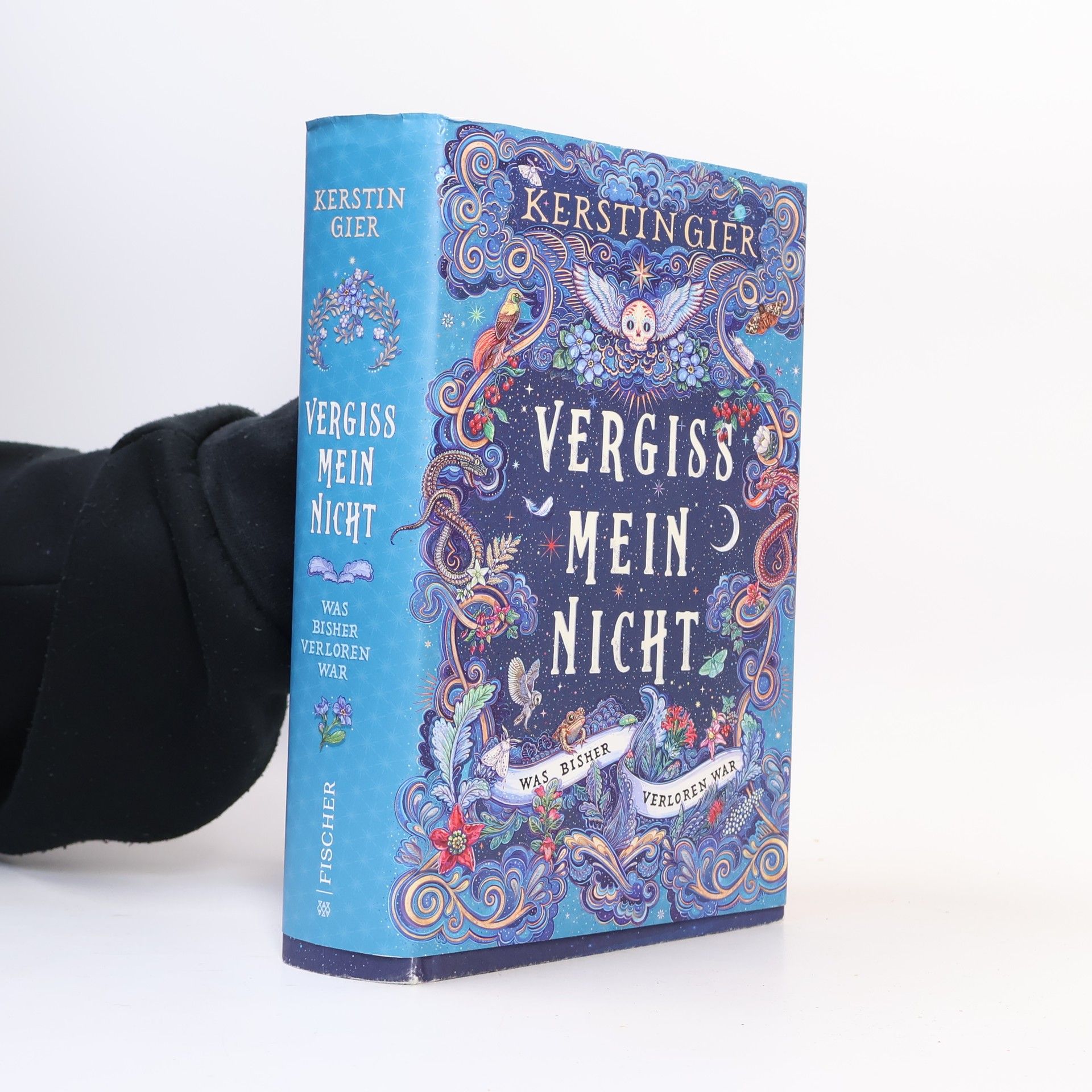 Kerstin Gier Vergissmeinnicht - Was bisher verloren war