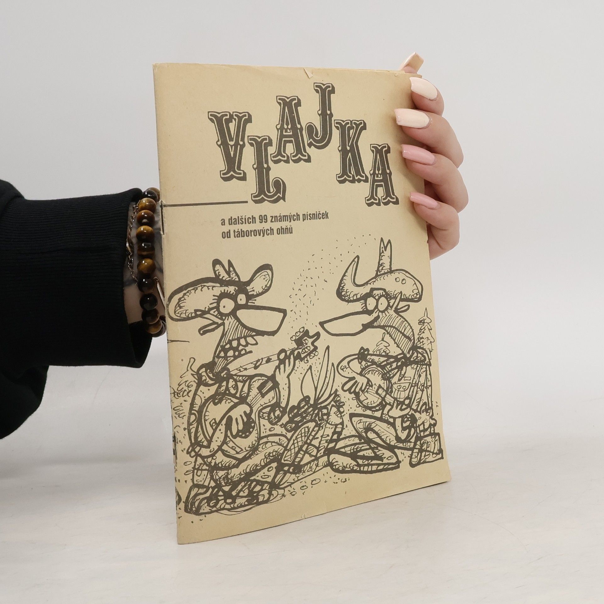 Jiří Bárta Vlajka a dalších 99 známých písniček od táborových ohňů