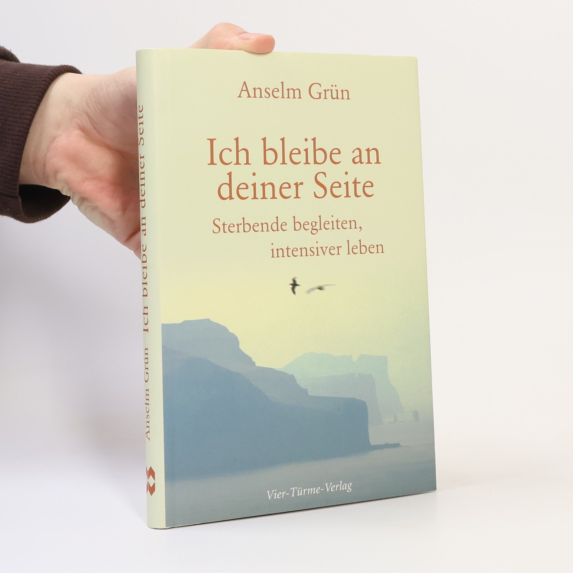 Anselm Grün Ich bleibe an deiner Seite