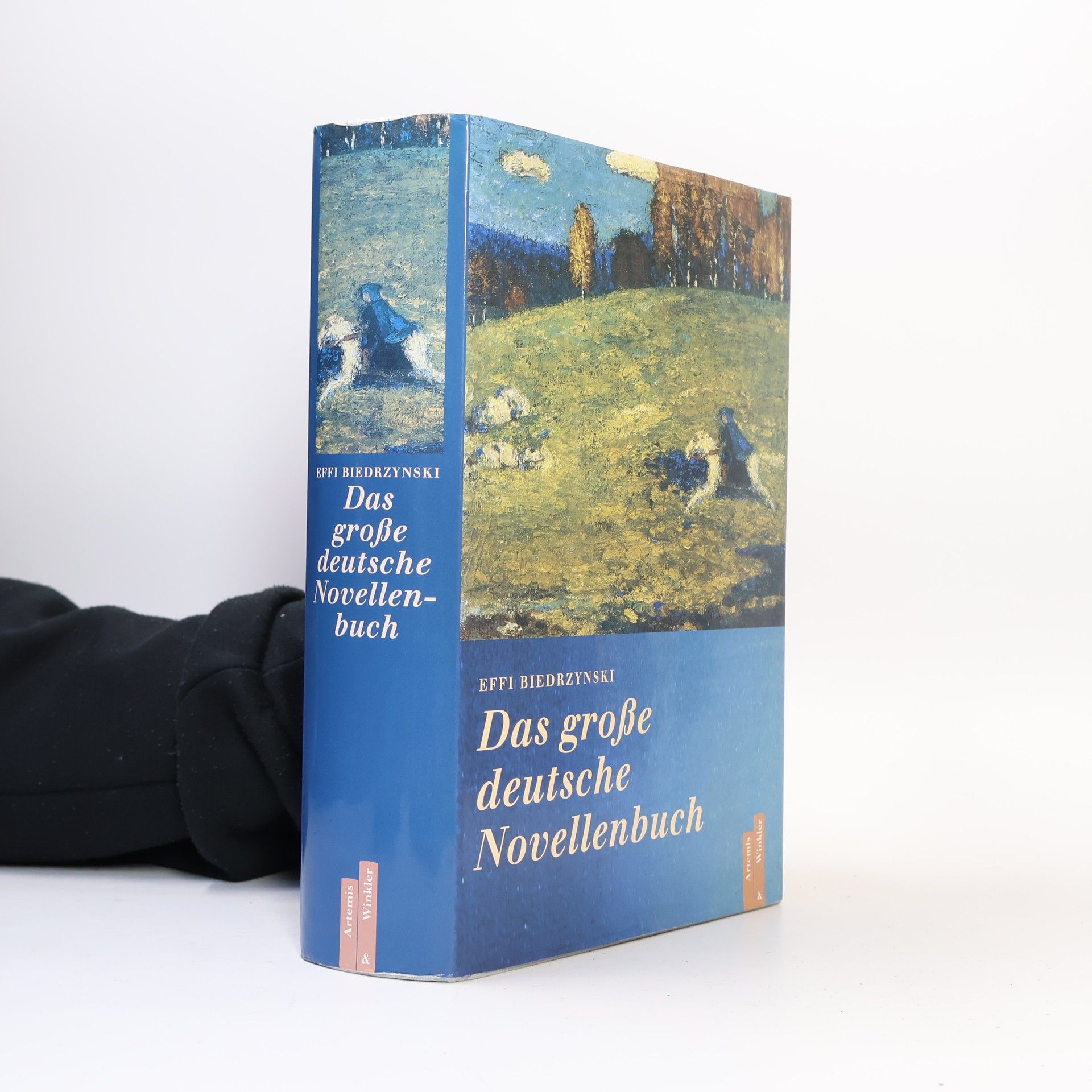 Das große deutsche Novellenbuch