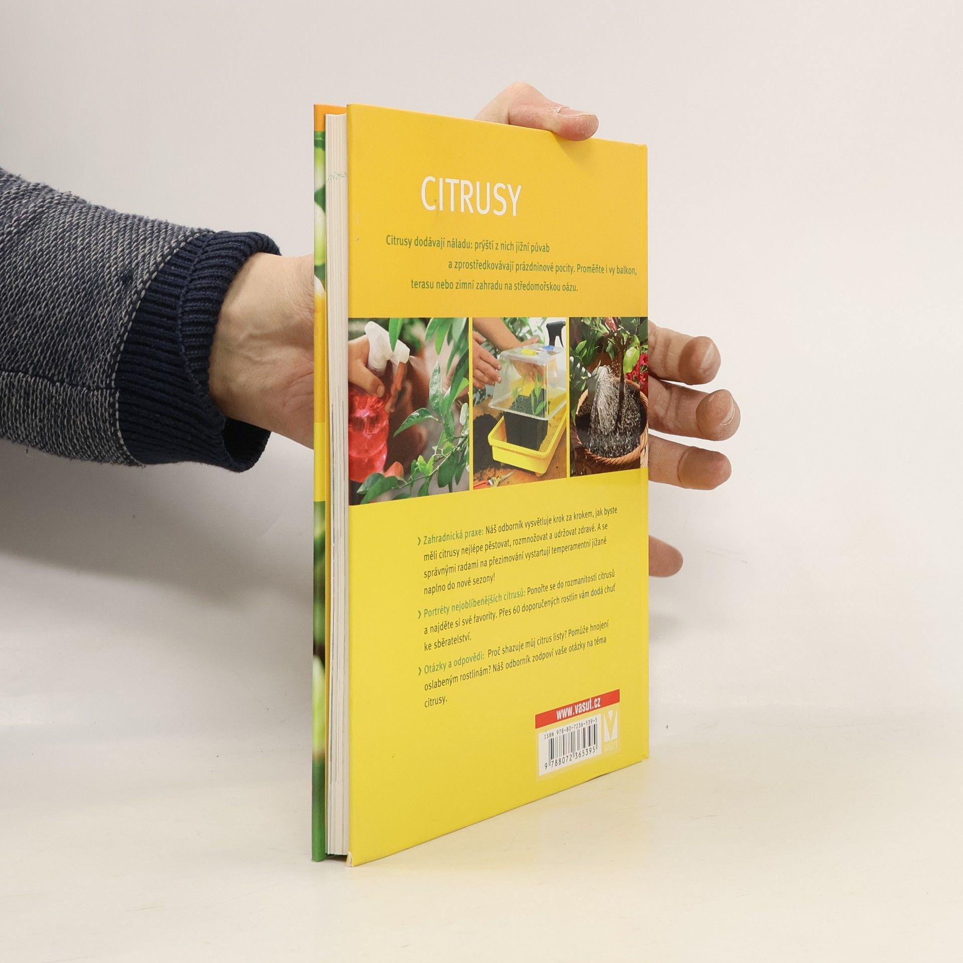 Hans Peter Maier Citrusy: Krok za krokem k vlastnímu citrusovému ráji