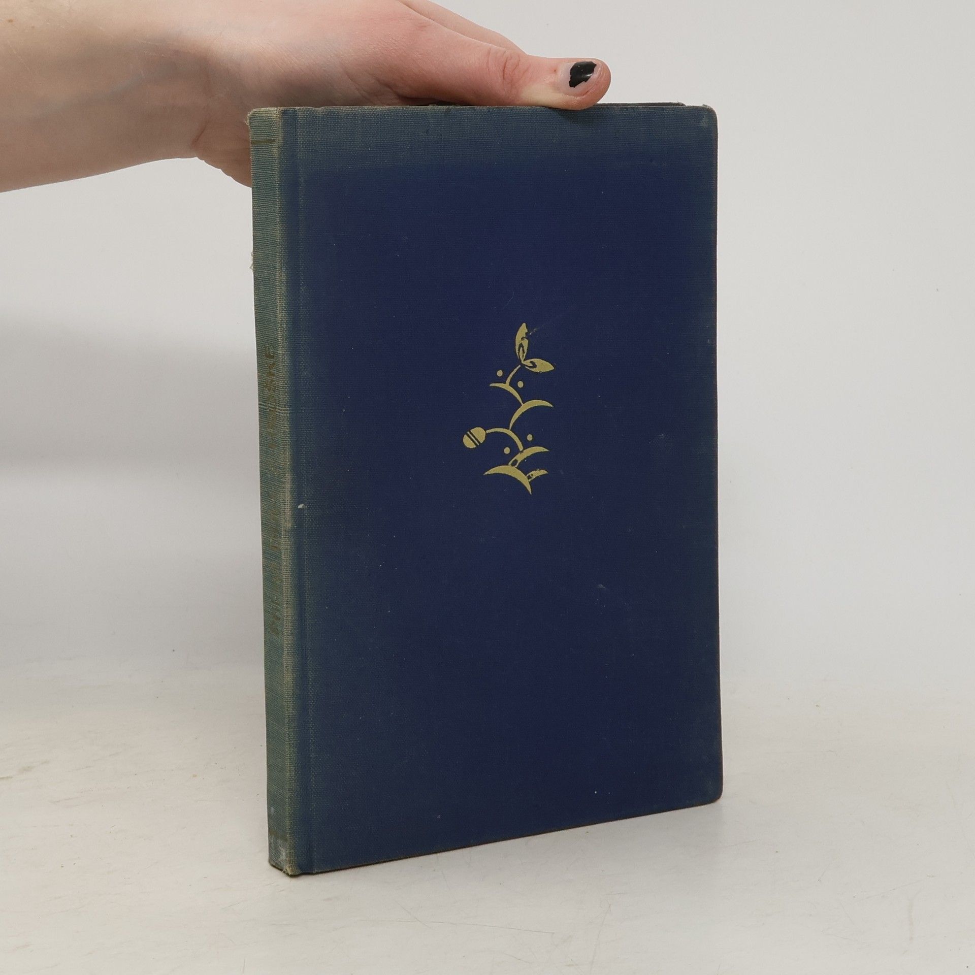 Ondřej Přikryl Dule Z Hroške, Obrázek z Hané okolo půlke XIX. Stoleti