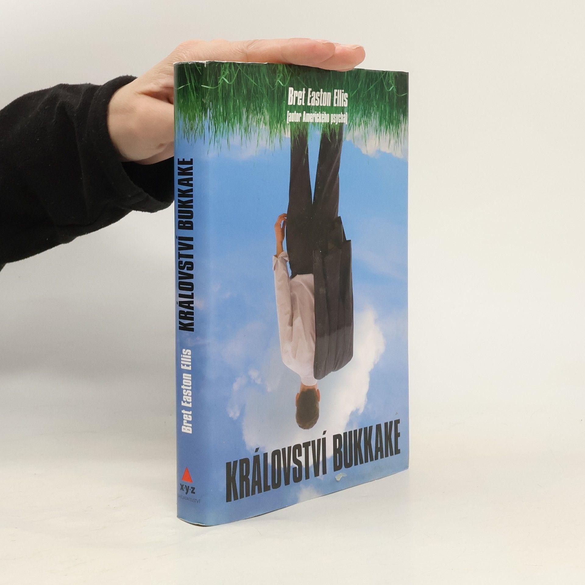 Bret Easton Ellis Království bukkake