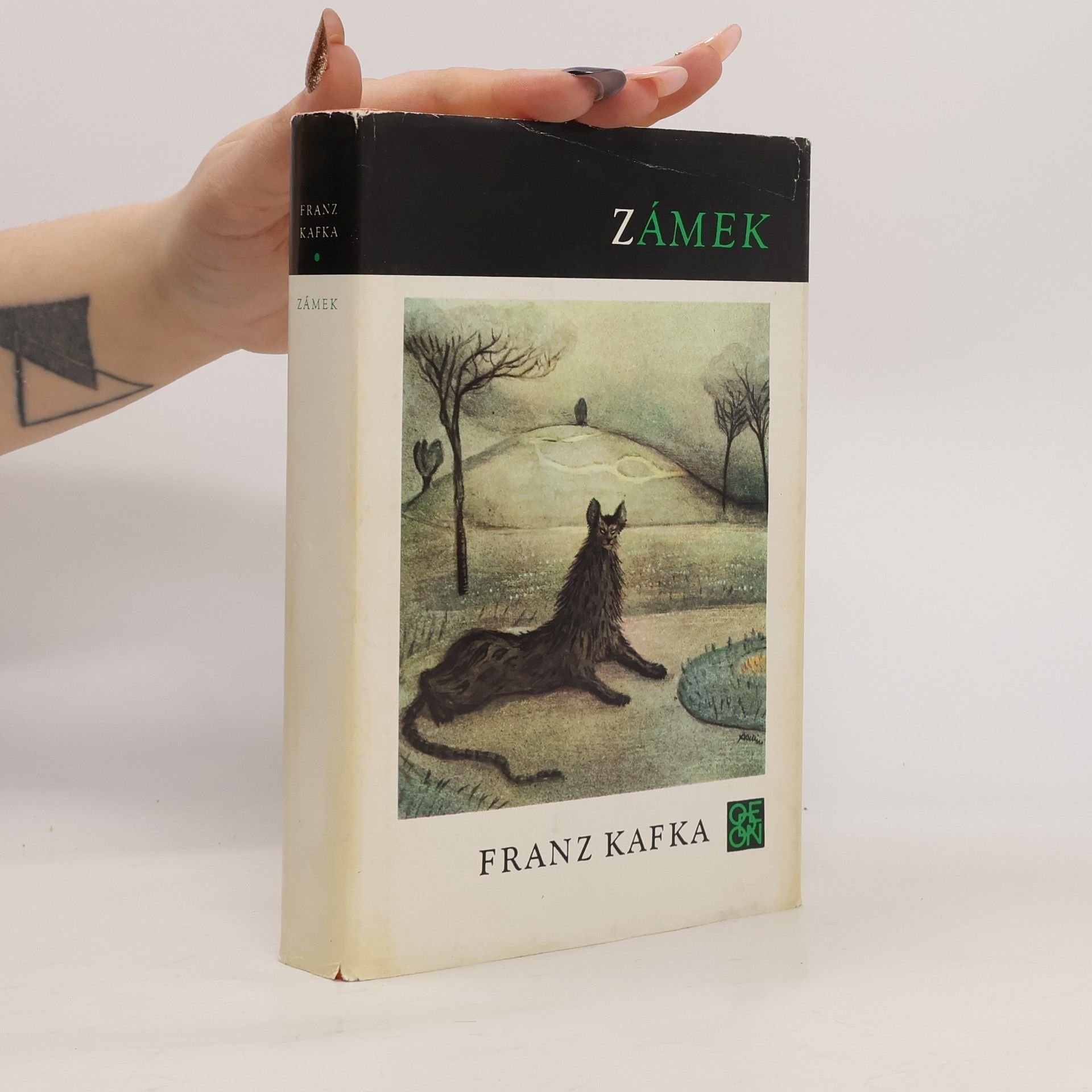 Franz Kafka Zámek