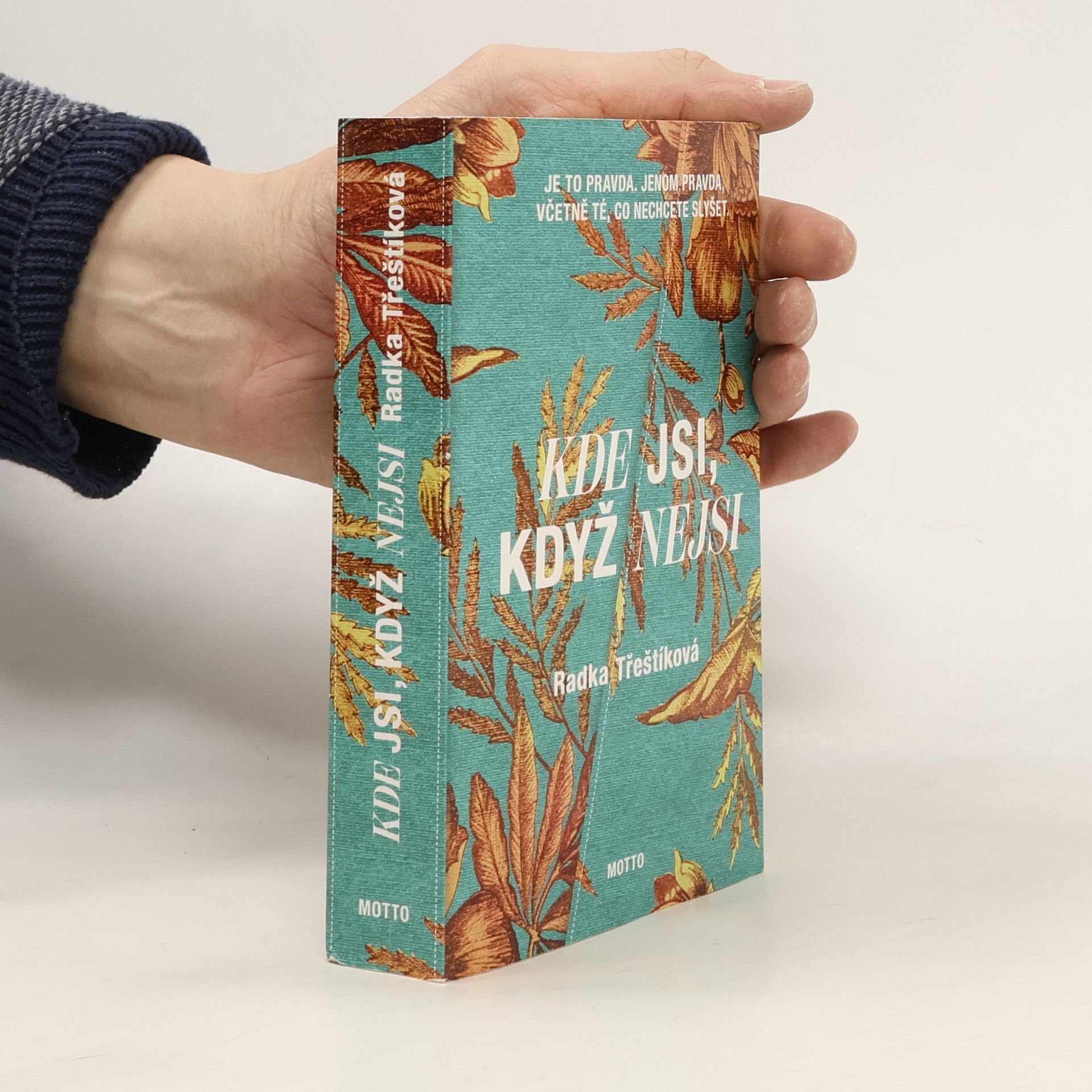 Radka Třeštíková Kde jsi, když nejsi