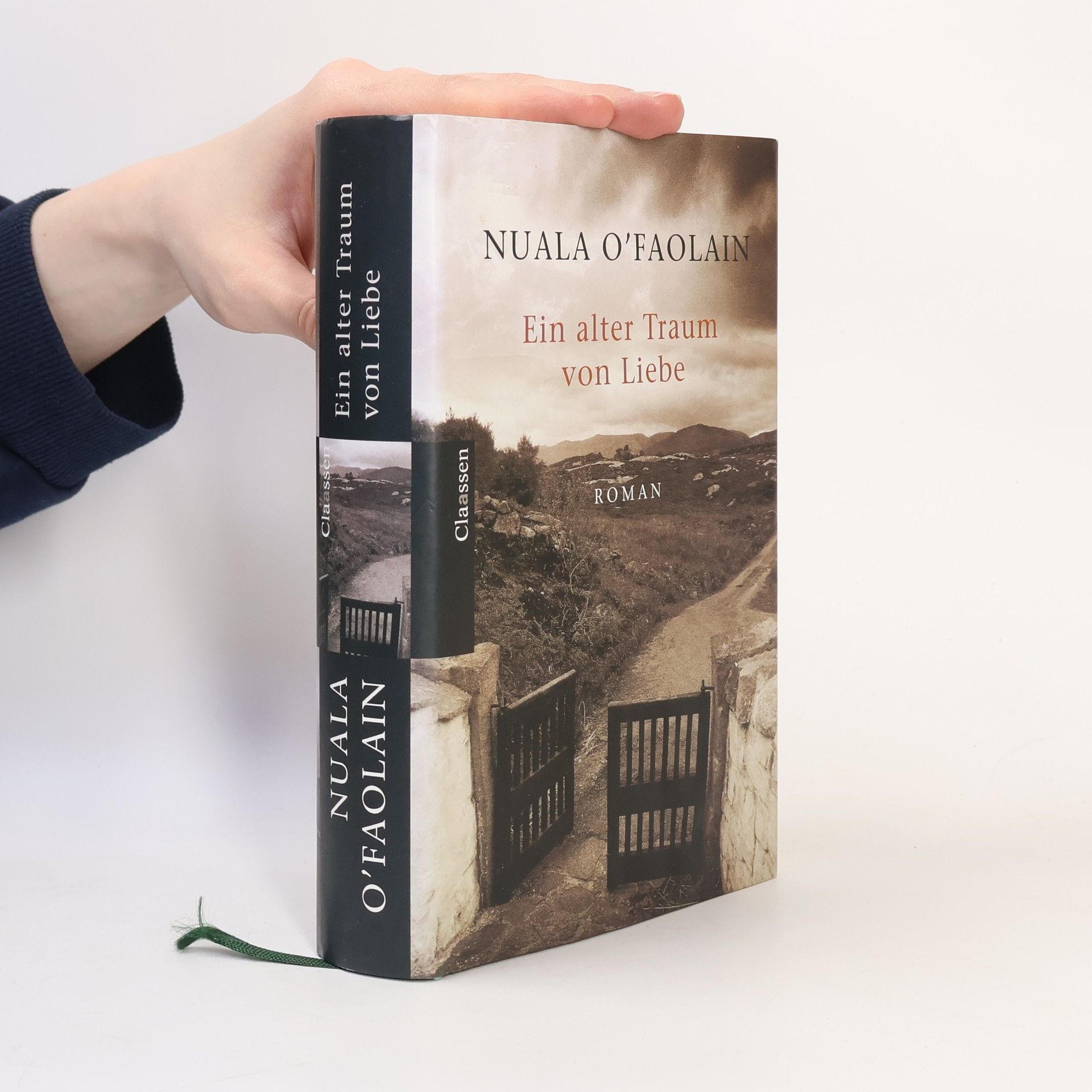Nuala O. Faolain Ein alter Traum von Liebe