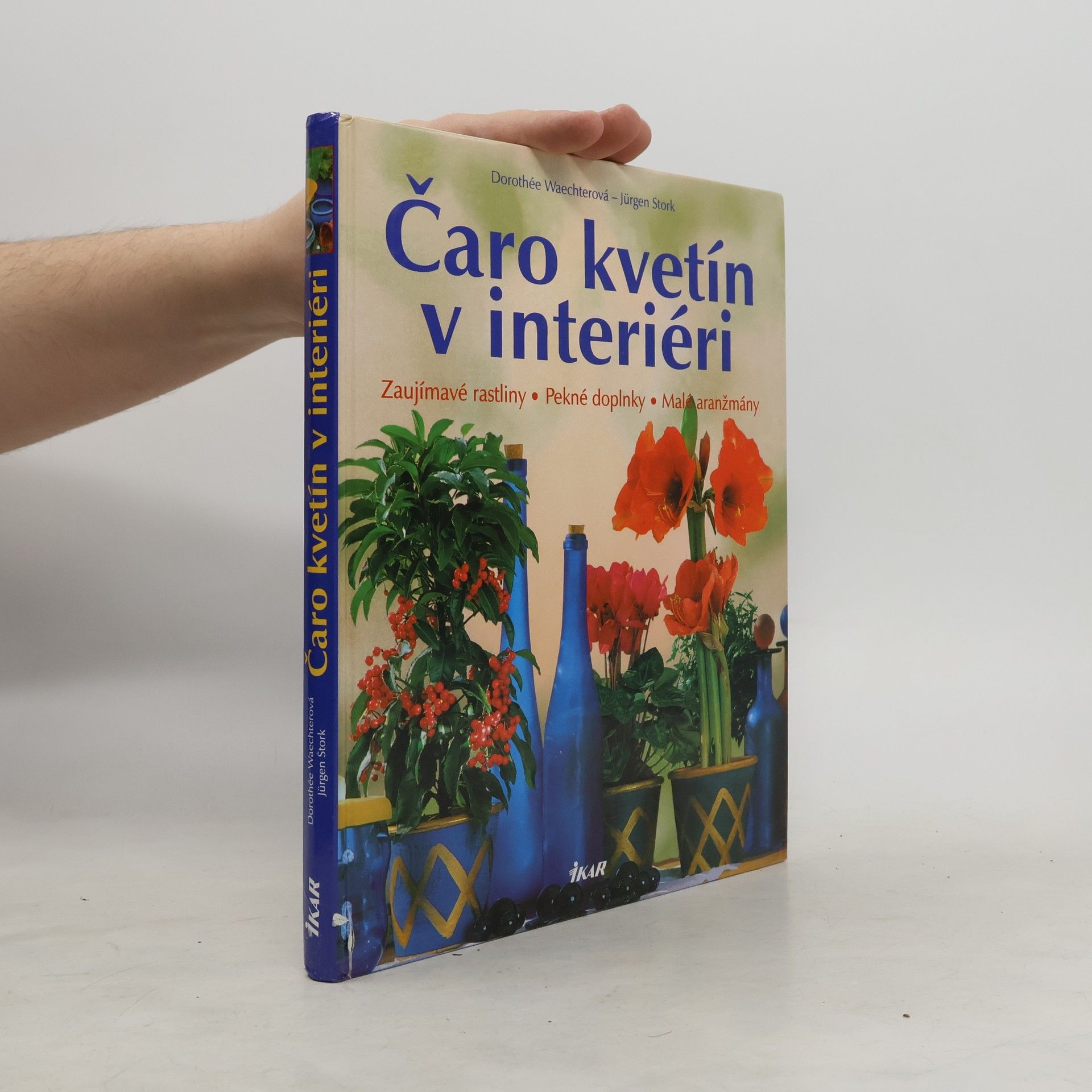 Dorothée Waechter Čaro kvetín v interiéri