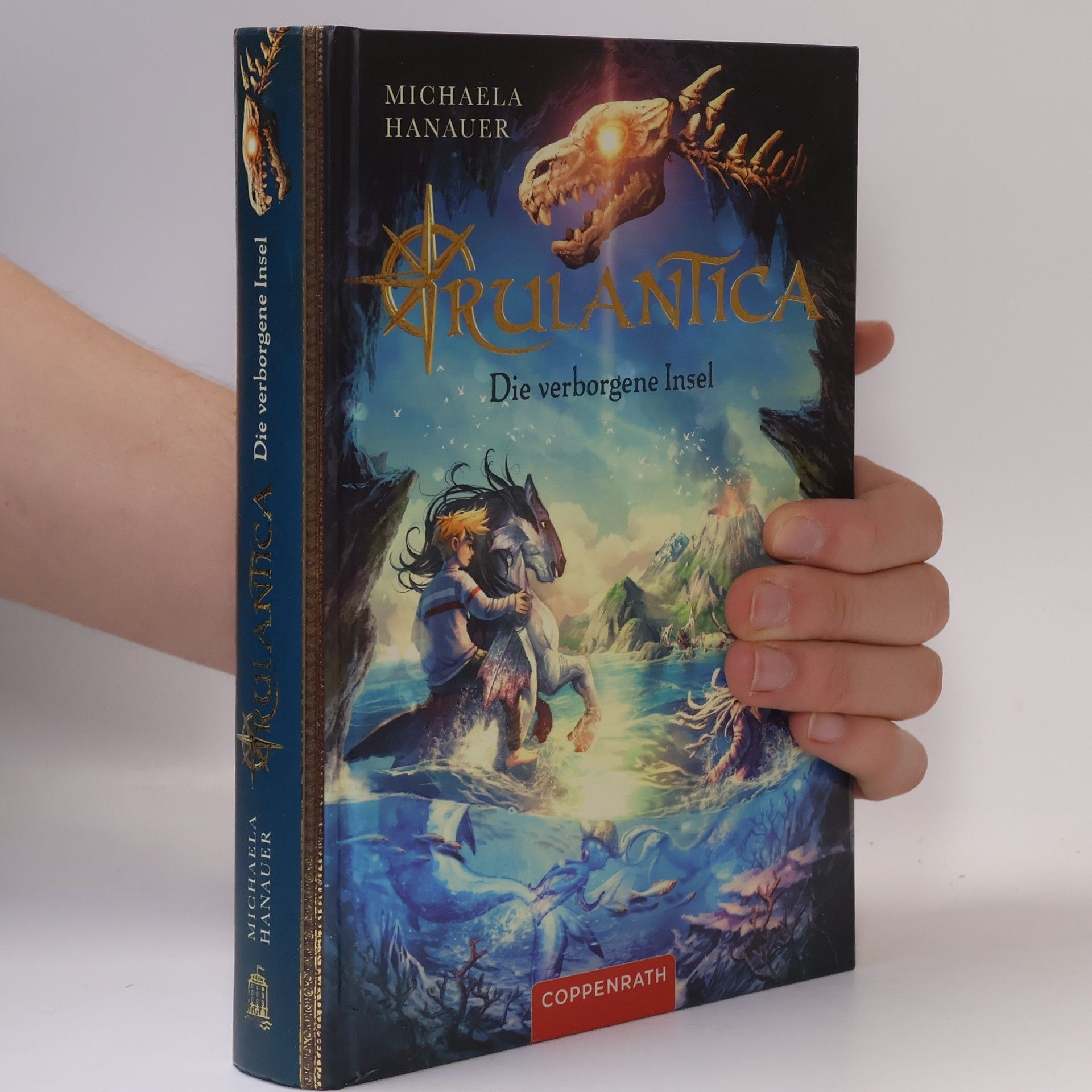 Michaela Hanauer Die verborgene Insel