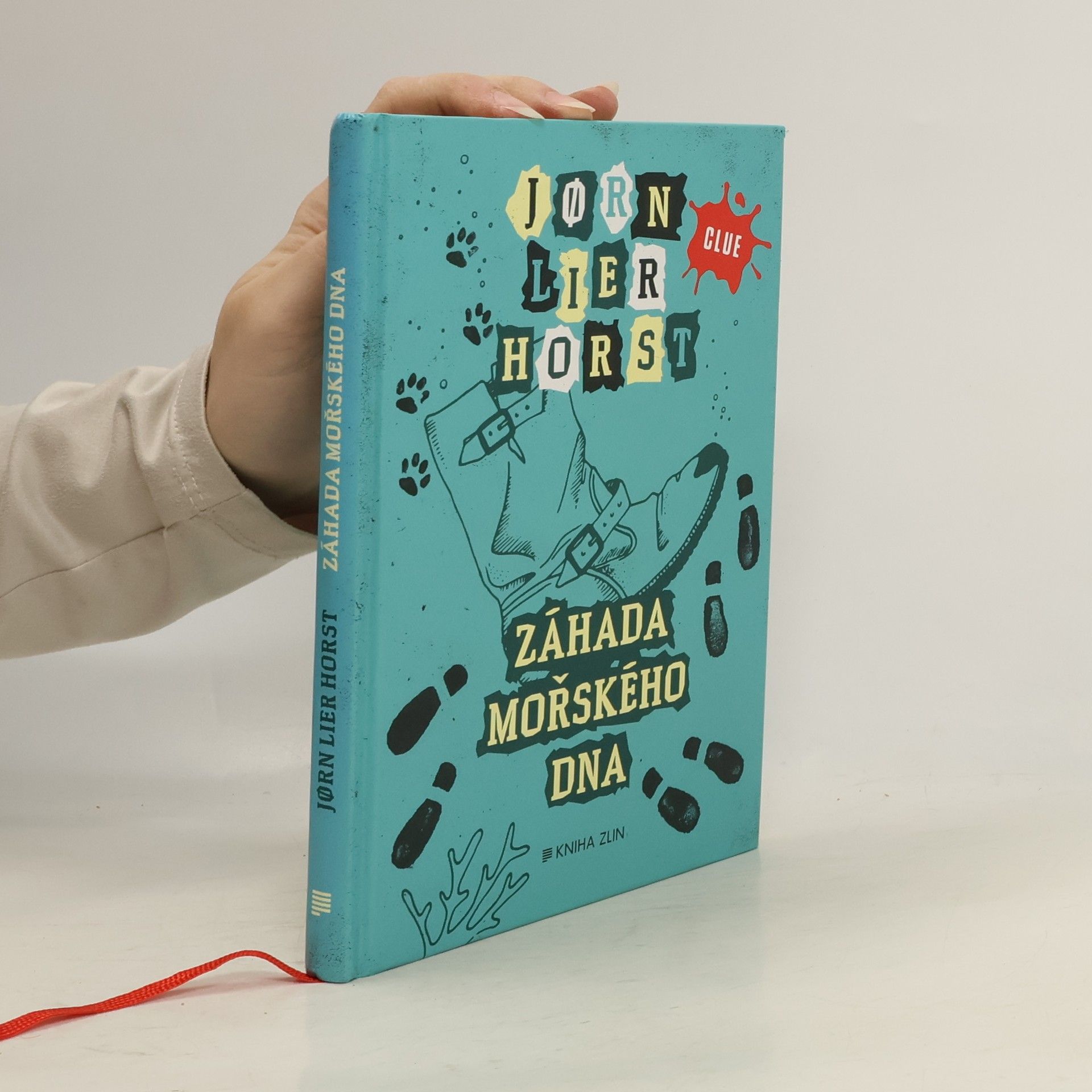 Jørn Lier Horst Záhada mořského dna