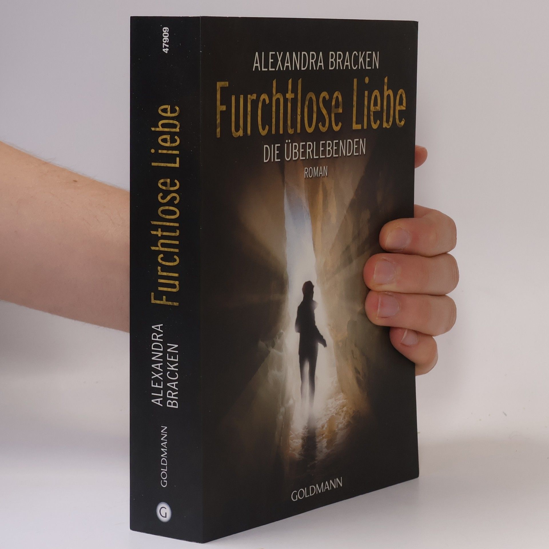 Alexandra Bracken Furchtlose Liebe. Die Überlebenden