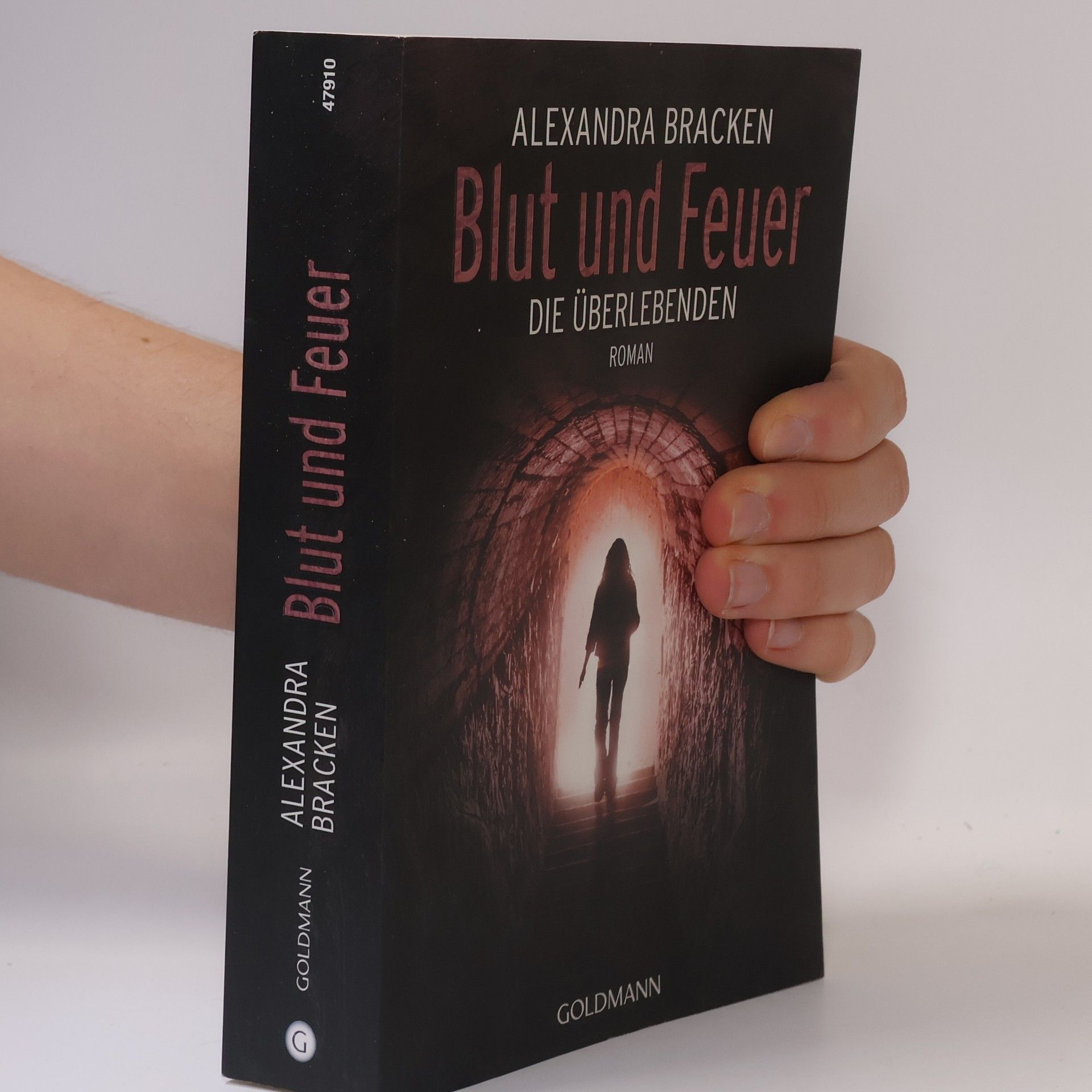 Alexandra Bracken Blut und Feuer