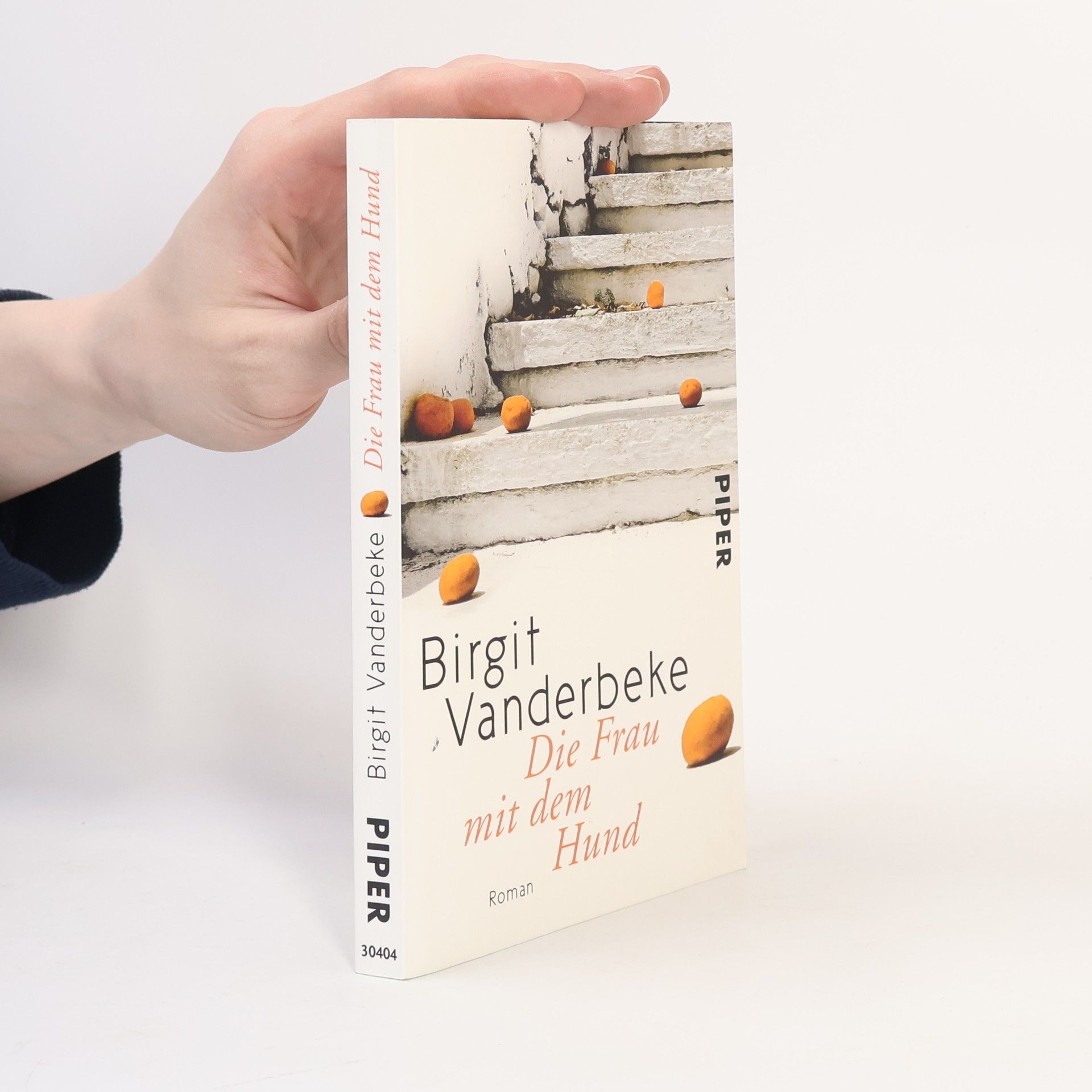 Birgit Vanderbeke Die Frau mit dem Hund