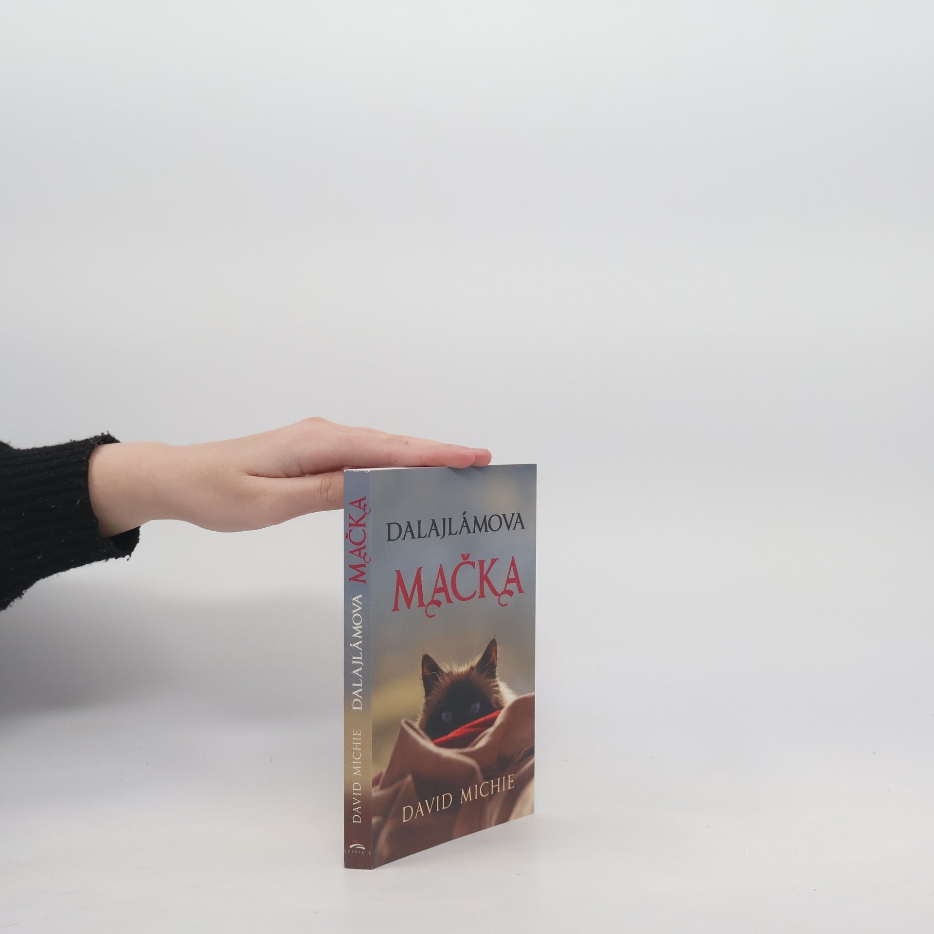 David Michie Dalajlámova mačka