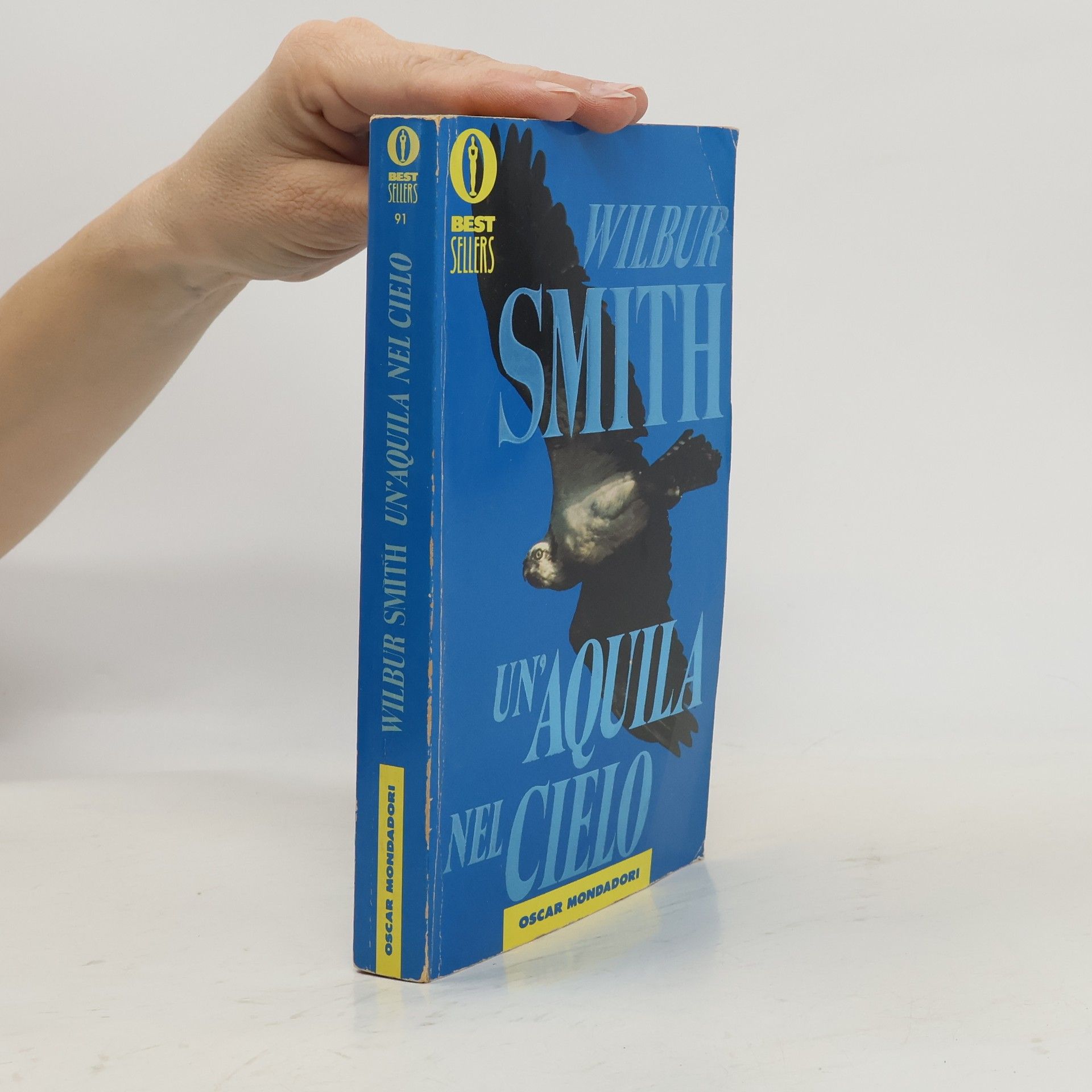 Wilbur Smith Un'aquila nel cielo