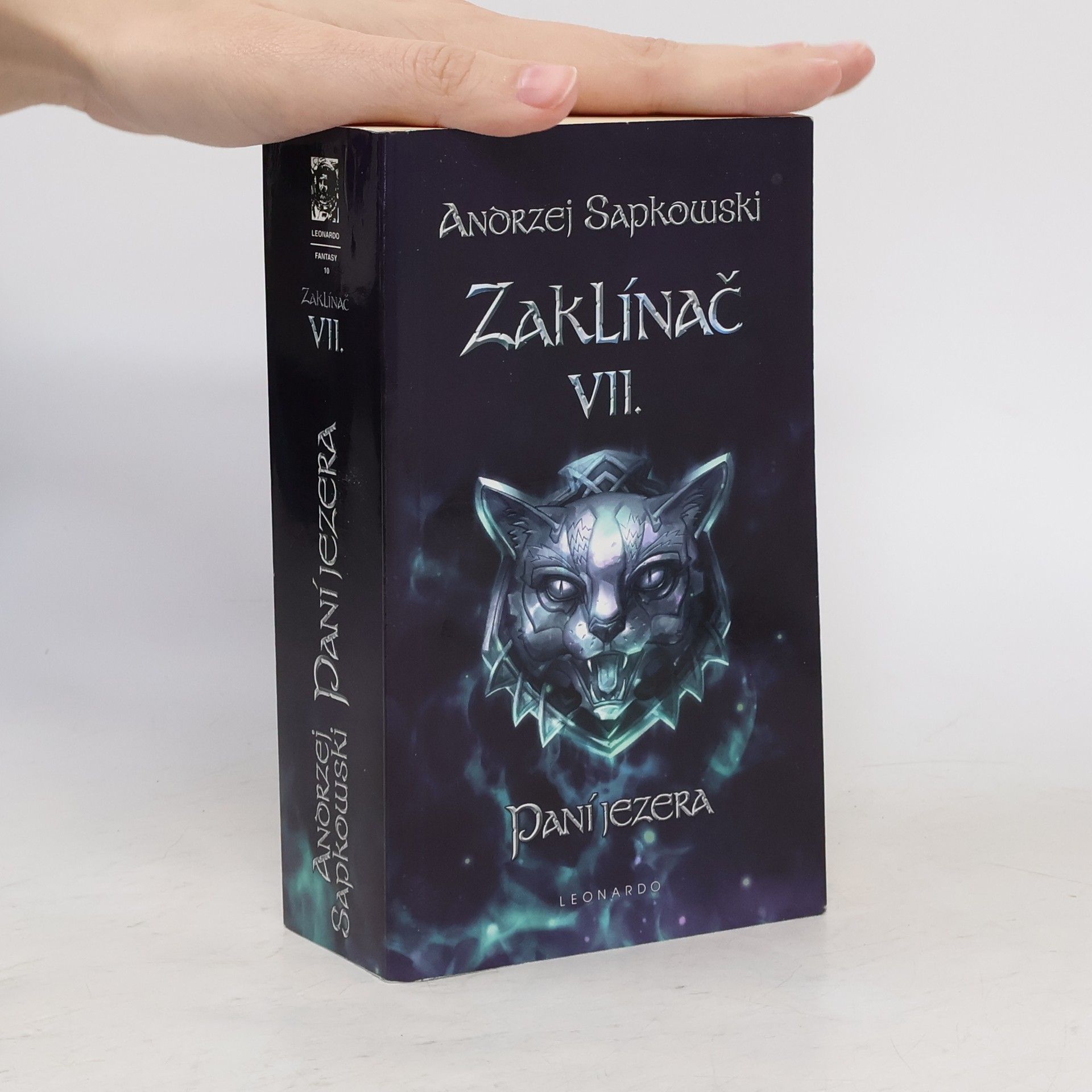 Zaklínač VII. Paní jezera