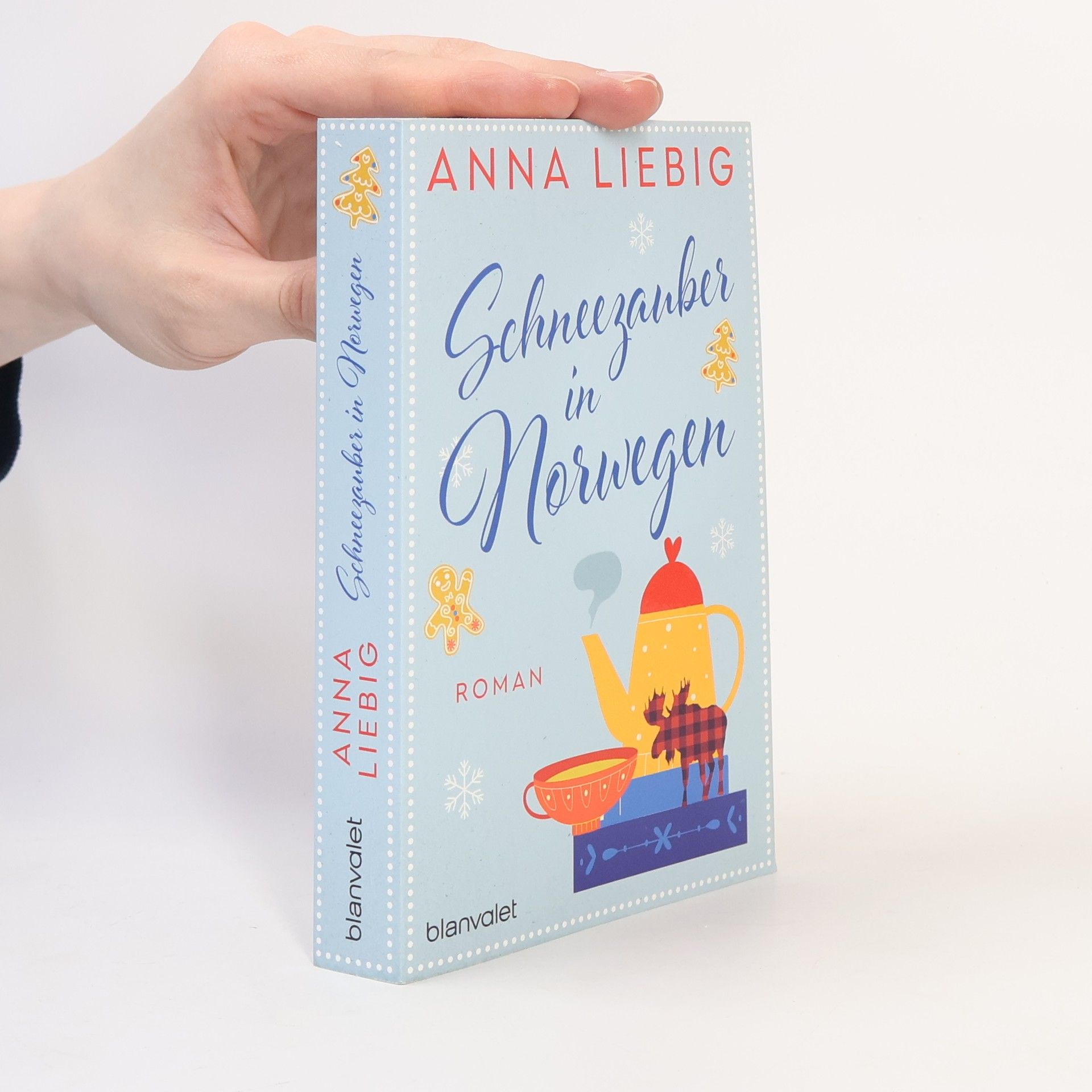 Anna Liebig Schneezauber in Norwegen