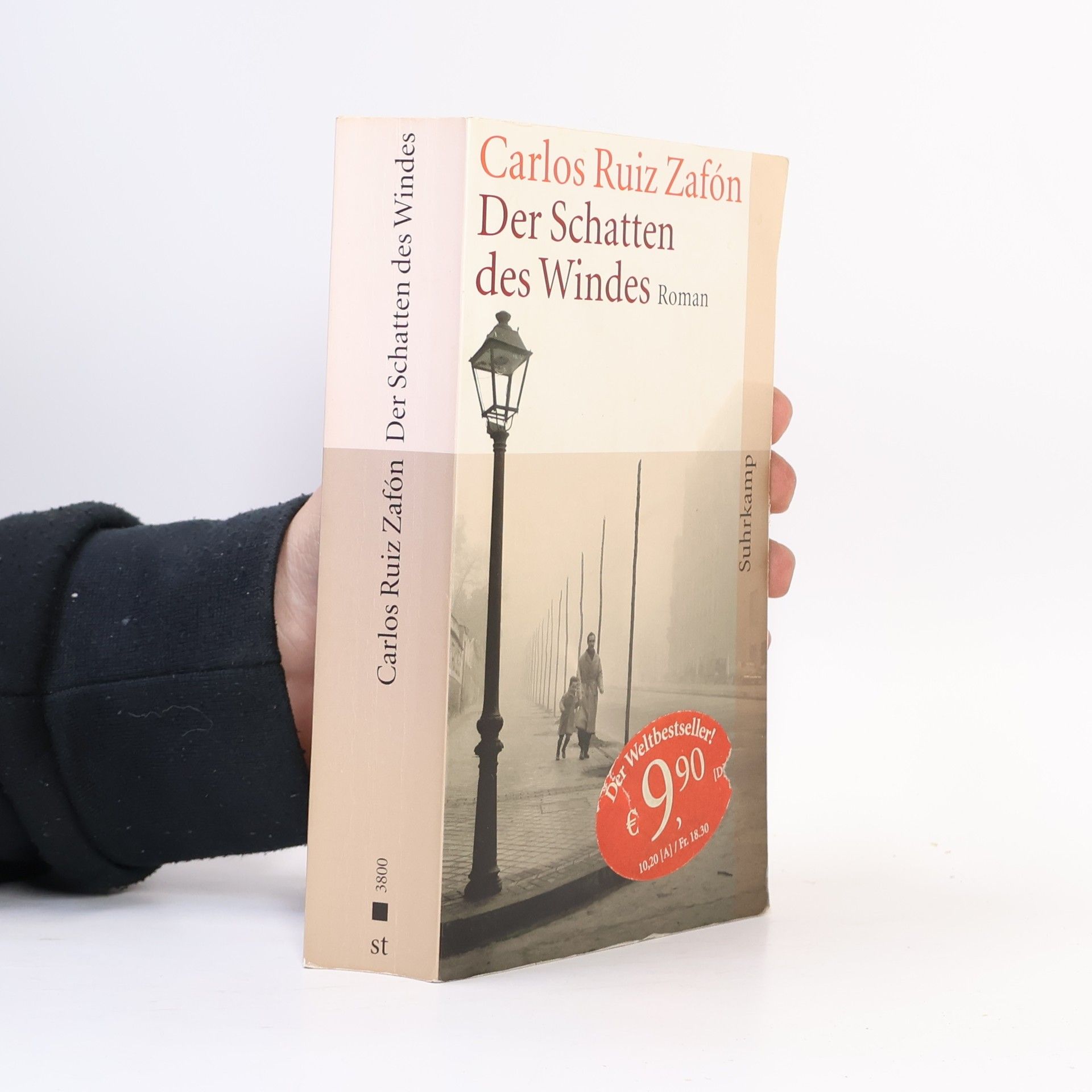 Carlos Ruiz Zafón Der Schatten des Windes