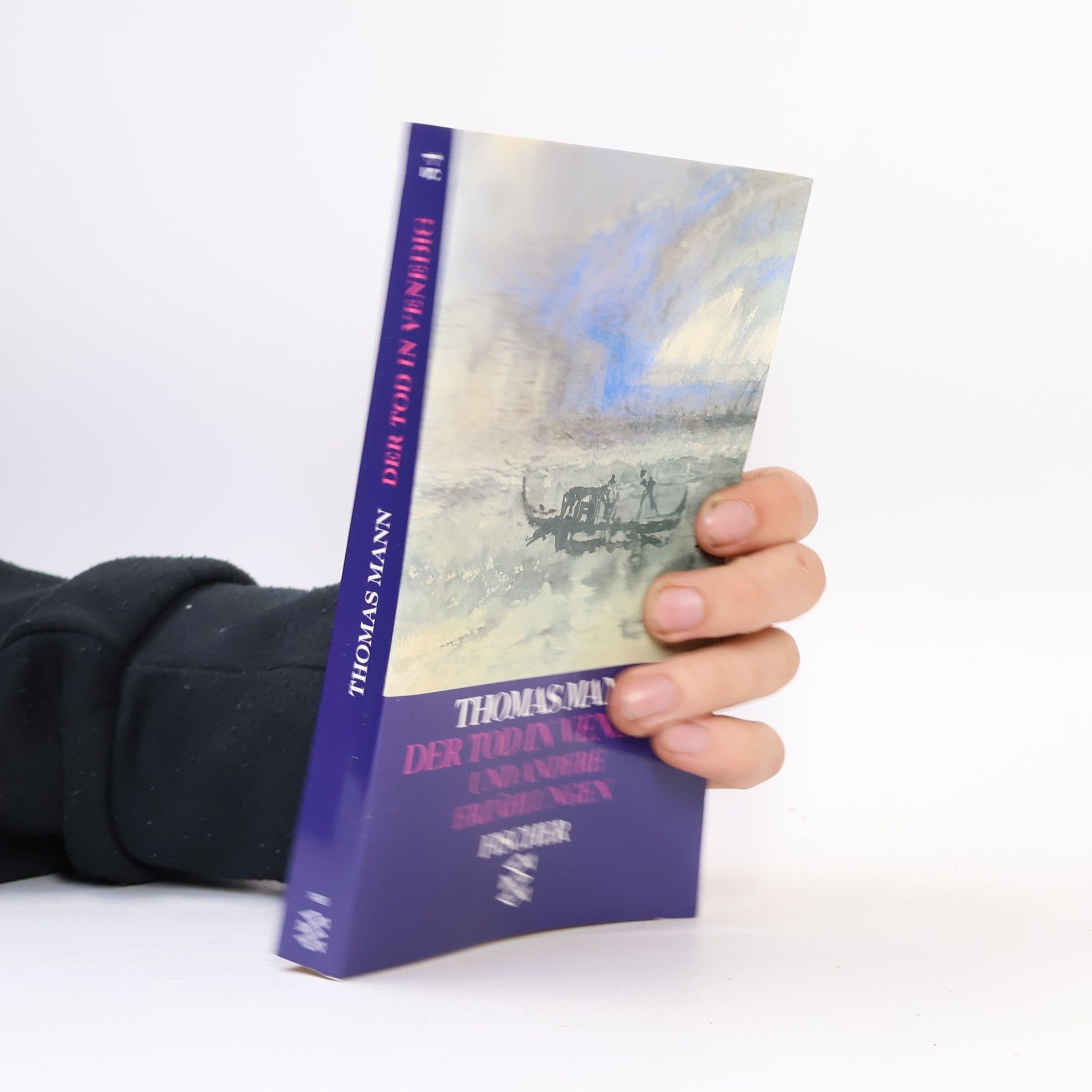 Thomas Mann Der Tod in Venedig und andere Erzählungen