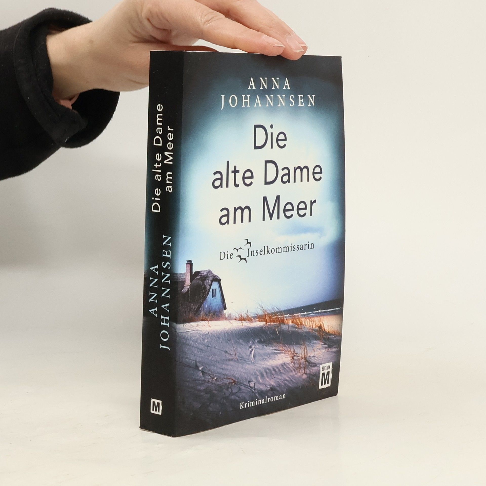 Anna Johannsen Die alte Dame am Meer